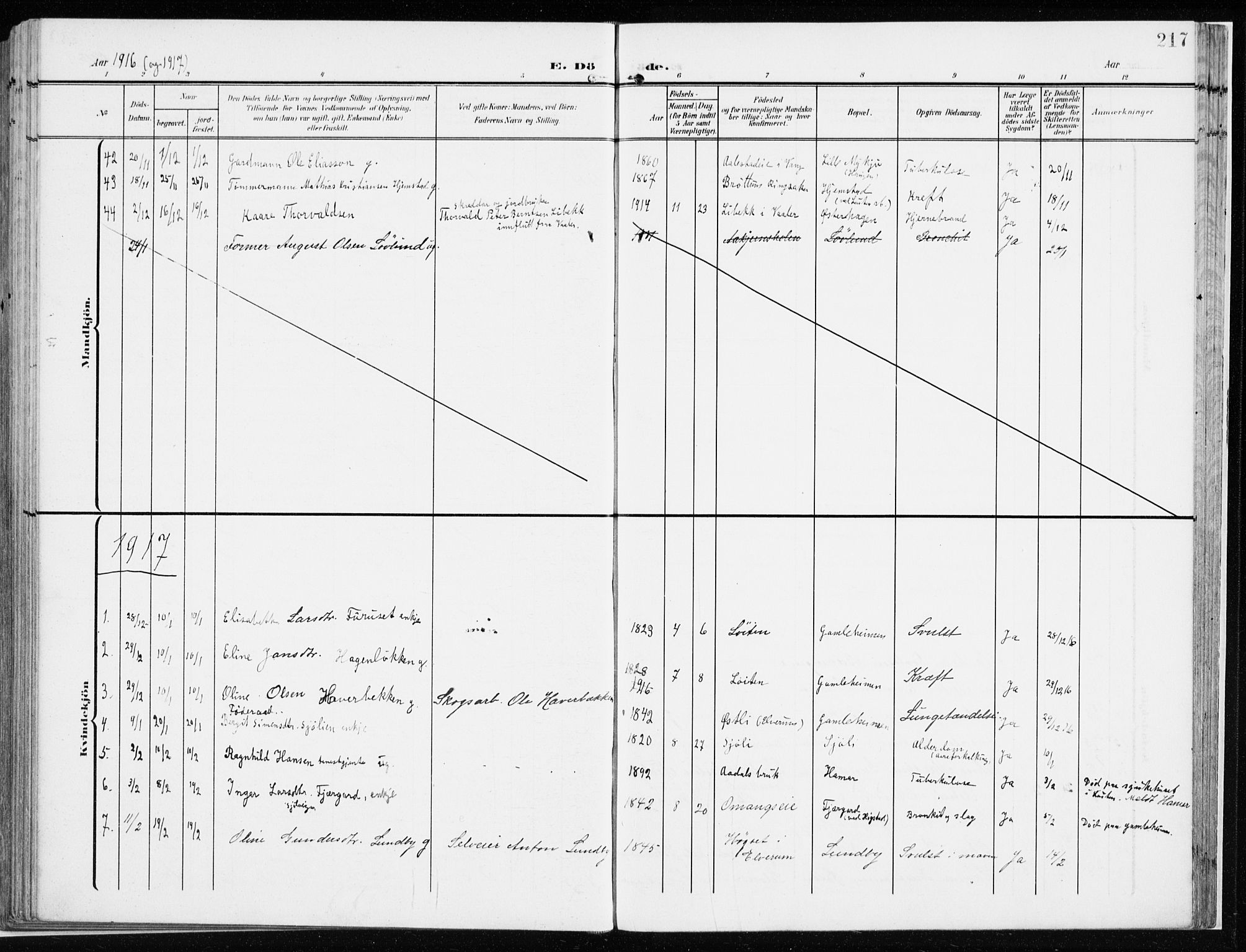 Løten prestekontor, AV/SAH-PREST-022/K/Ka/L0011: Parish register (official) no. 11, 1908-1917, p. 217