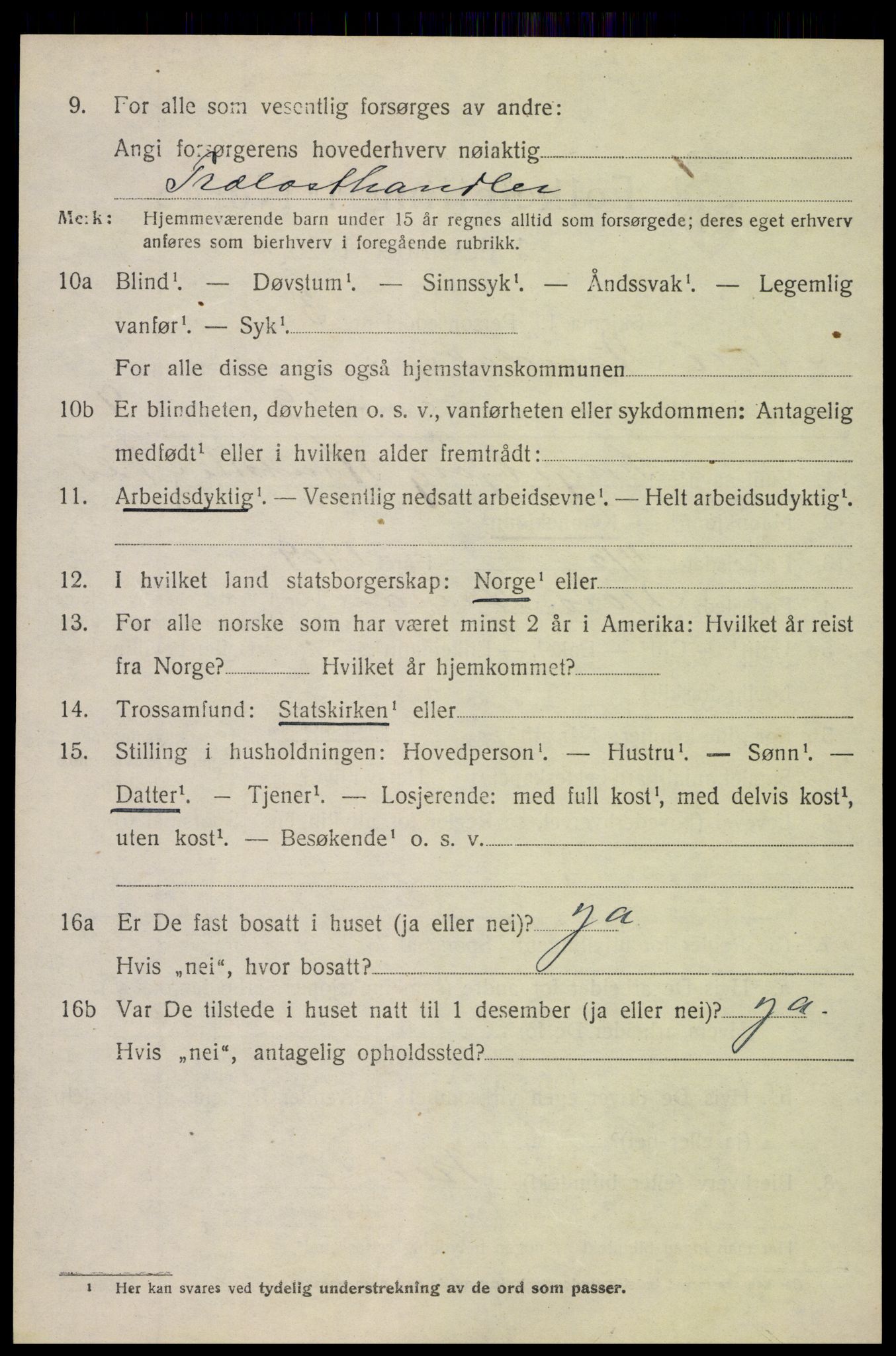 SAH, 1920 census for Nord-Aurdal, 1920, p. 6733