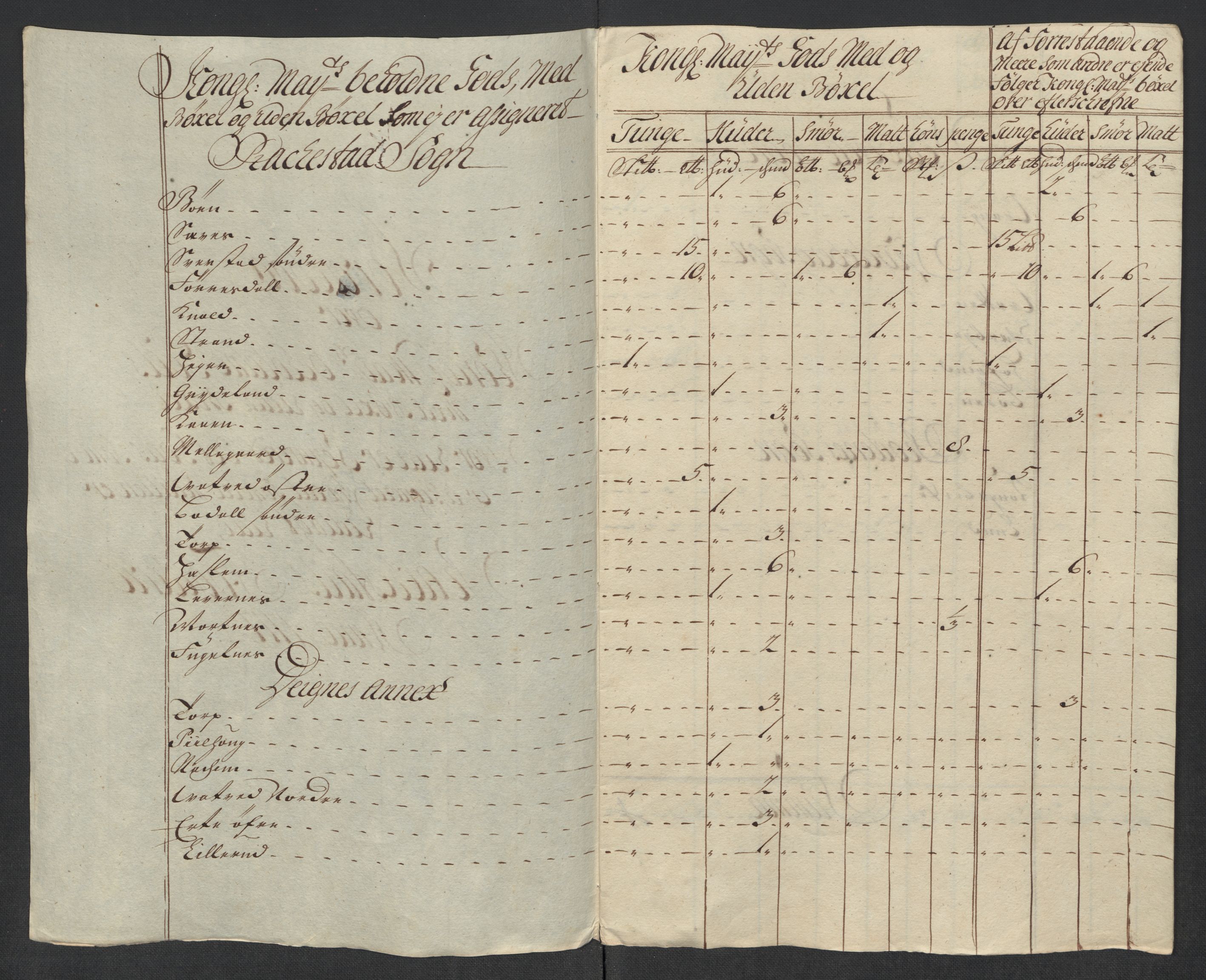 Rentekammeret inntil 1814, Reviderte regnskaper, Fogderegnskap, AV/RA-EA-4092/R07/L0313: Fogderegnskap Rakkestad, Heggen og Frøland, 1717, p. 294