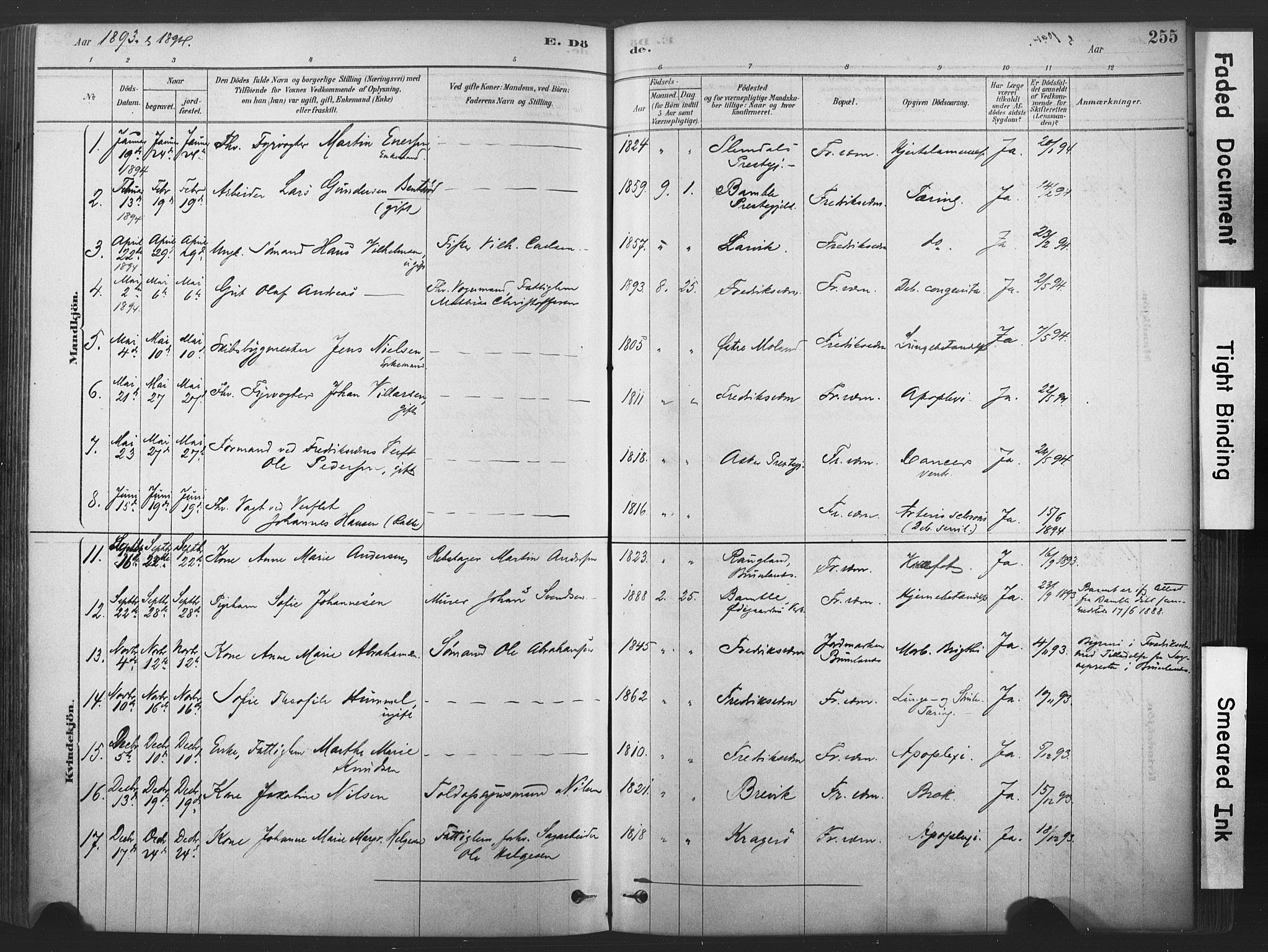 Stavern kirkebøker, AV/SAKO-A-318/F/Fa/L0008: Parish register (official) no. 8, 1878-1905, p. 255