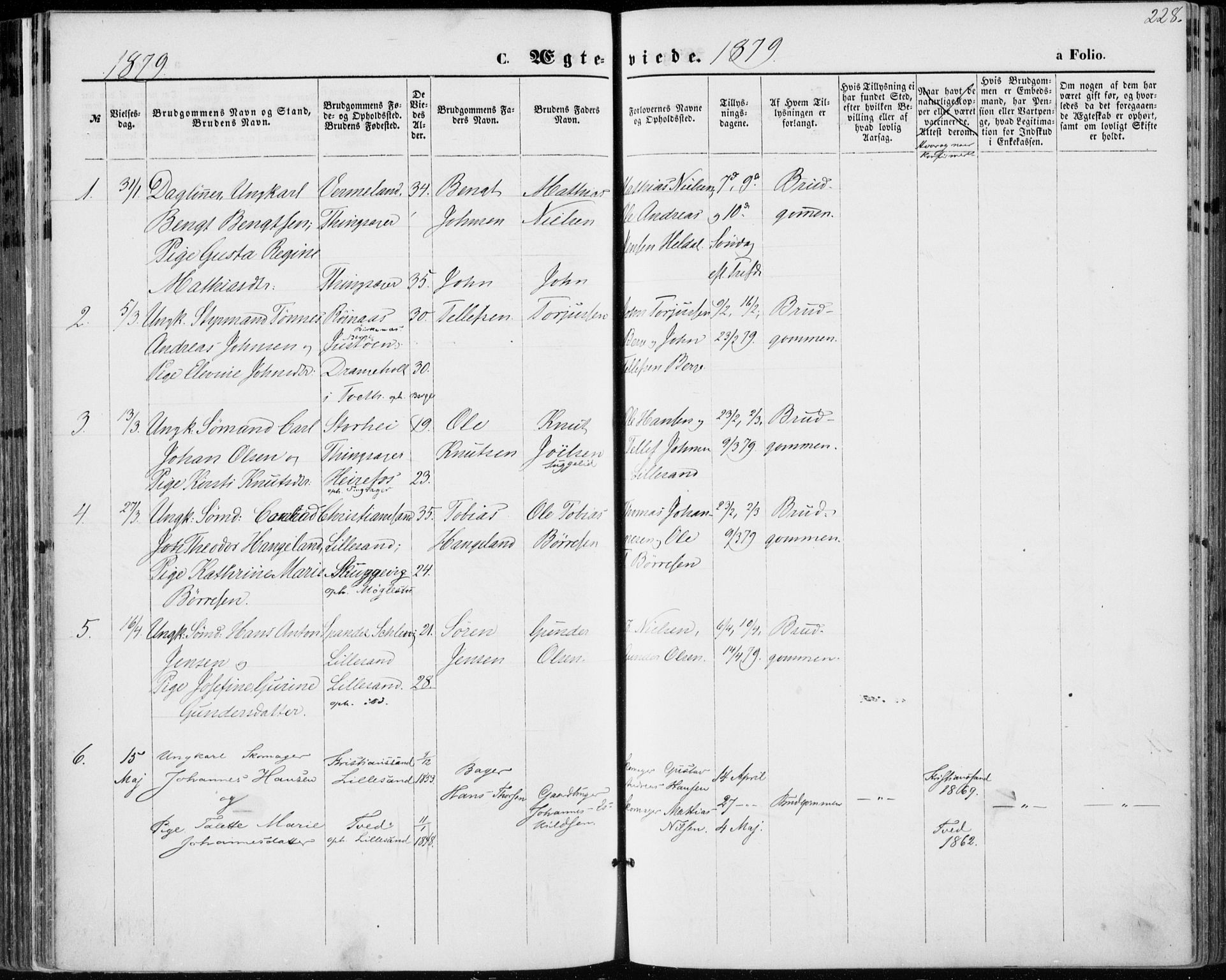 Vestre Moland sokneprestkontor, SAK/1111-0046/F/Fa/Fab/L0008: Parish register (official) no. A 8, 1873-1883, p. 228