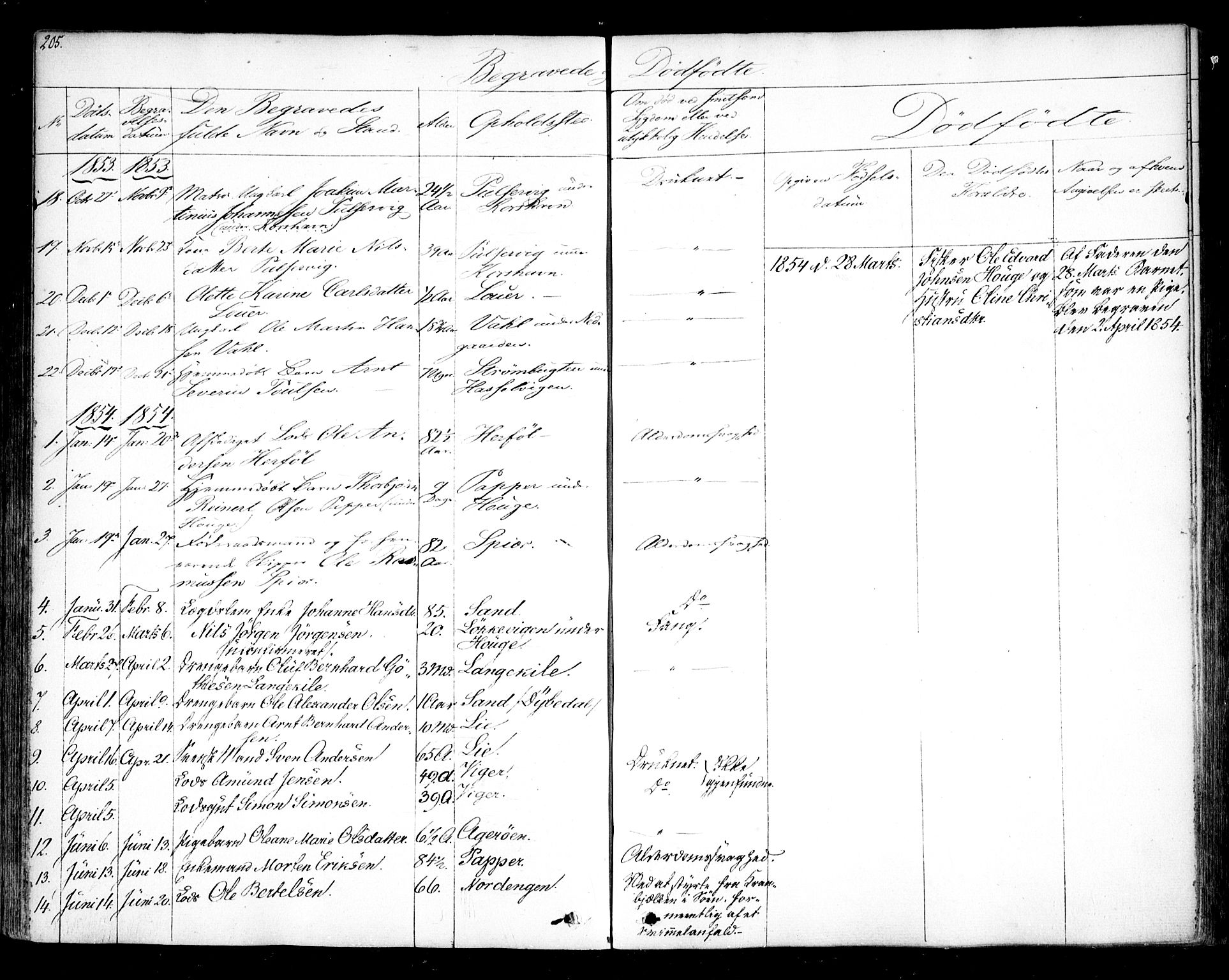 Hvaler prestekontor Kirkebøker, SAO/A-2001/F/Fa/L0006: Parish register (official) no. I 6, 1846-1863, p. 205