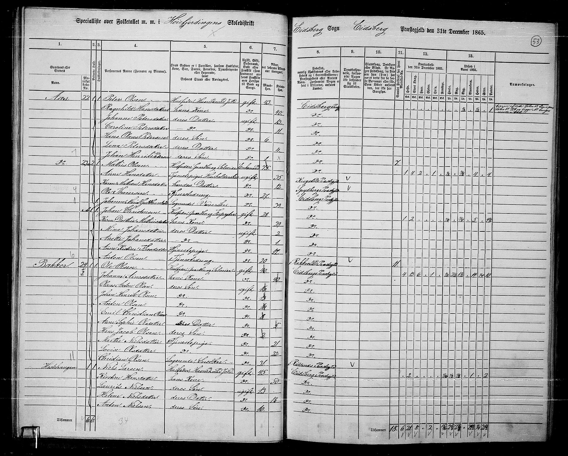 RA, 1865 census for Eidsberg, 1865, p. 45