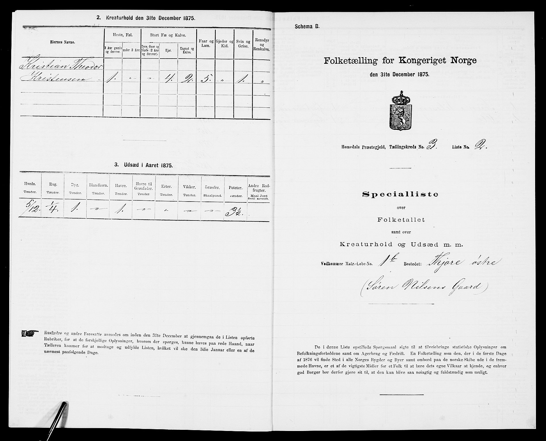 SAK, 1875 census for 0924P Homedal, 1875, p. 738