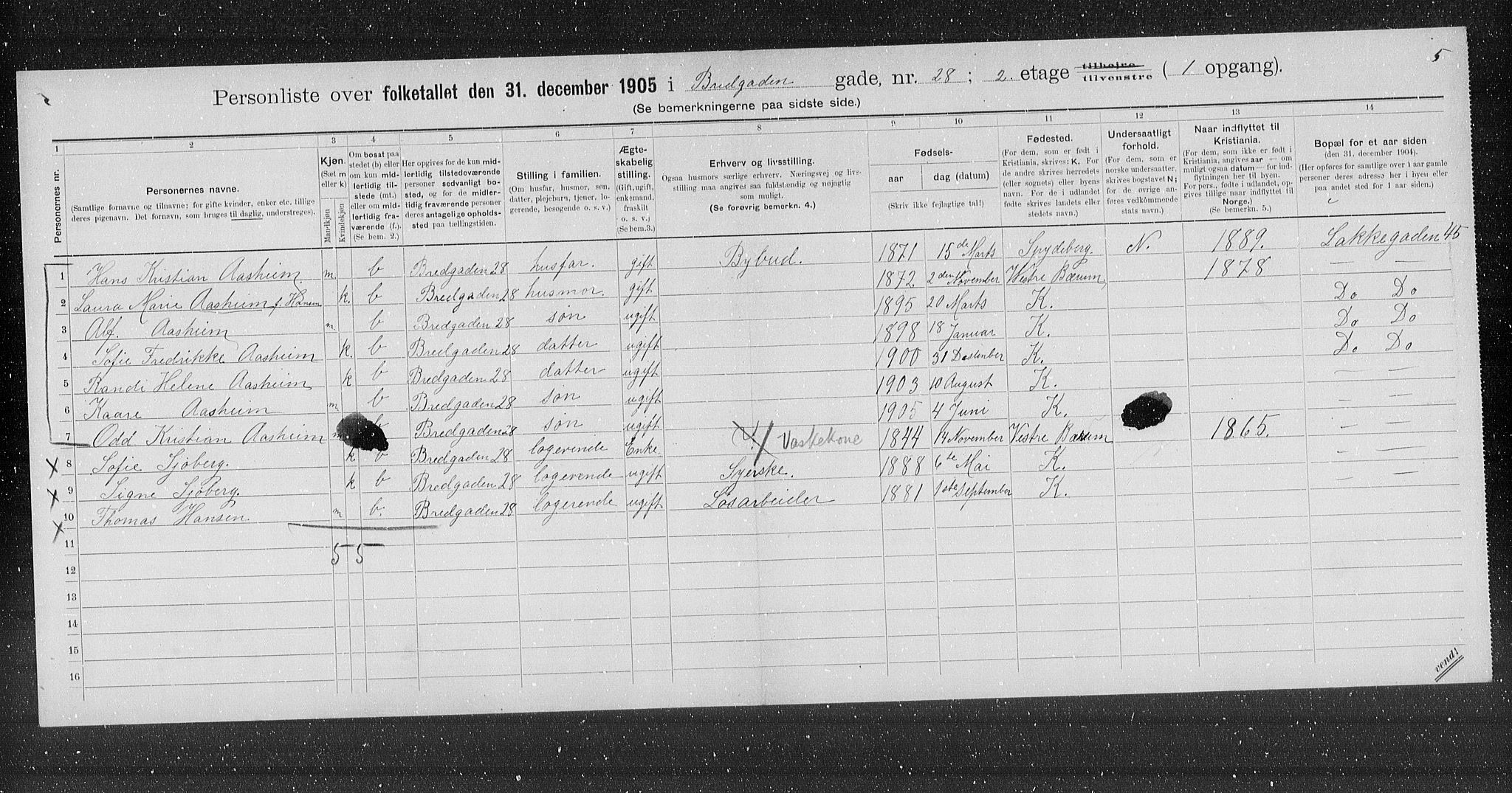 OBA, Municipal Census 1905 for Kristiania, 1905, p. 4342