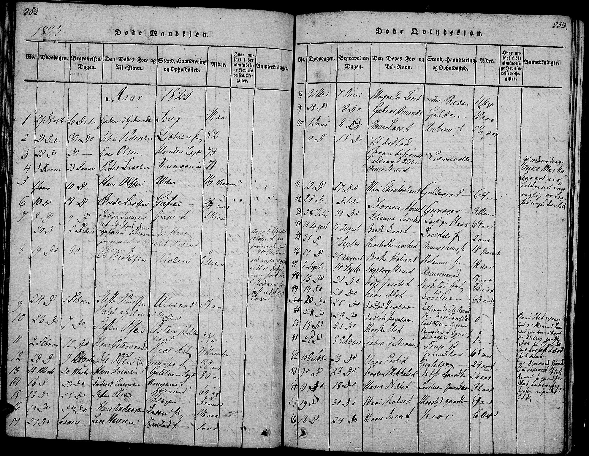 Gran prestekontor, SAH/PREST-112/H/Ha/Hab/L0001: Parish register (copy) no. 1, 1815-1824, p. 252-253