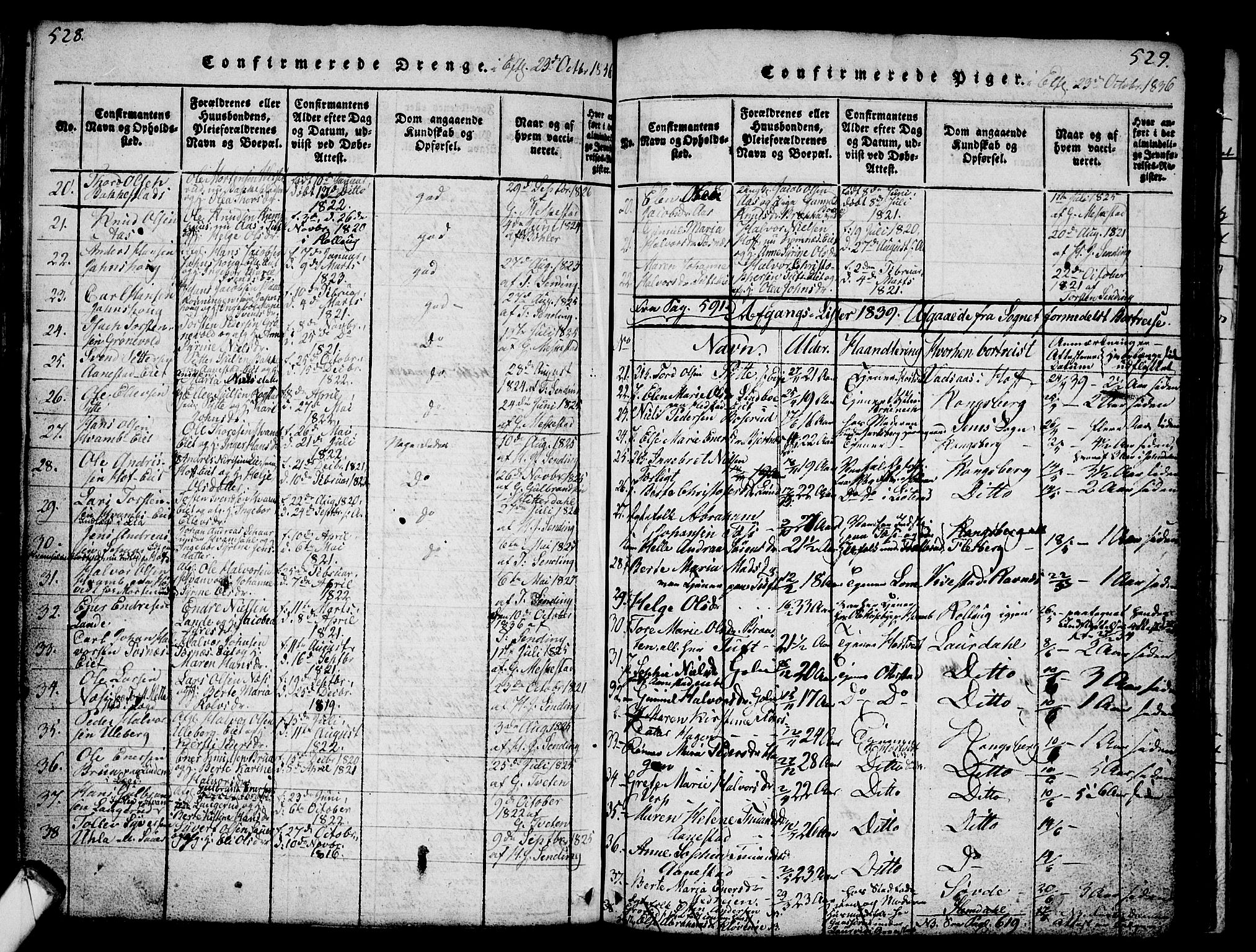 Sandsvær kirkebøker, SAKO/A-244/G/Ga/L0003: Parish register (copy) no. I 3, 1817-1839, p. 528-529