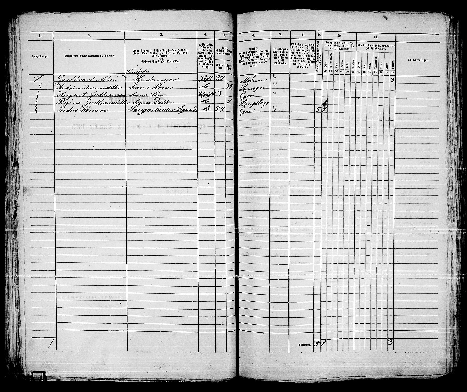 RA, 1865 census for Kongsberg/Kongsberg, 1865, p. 1087