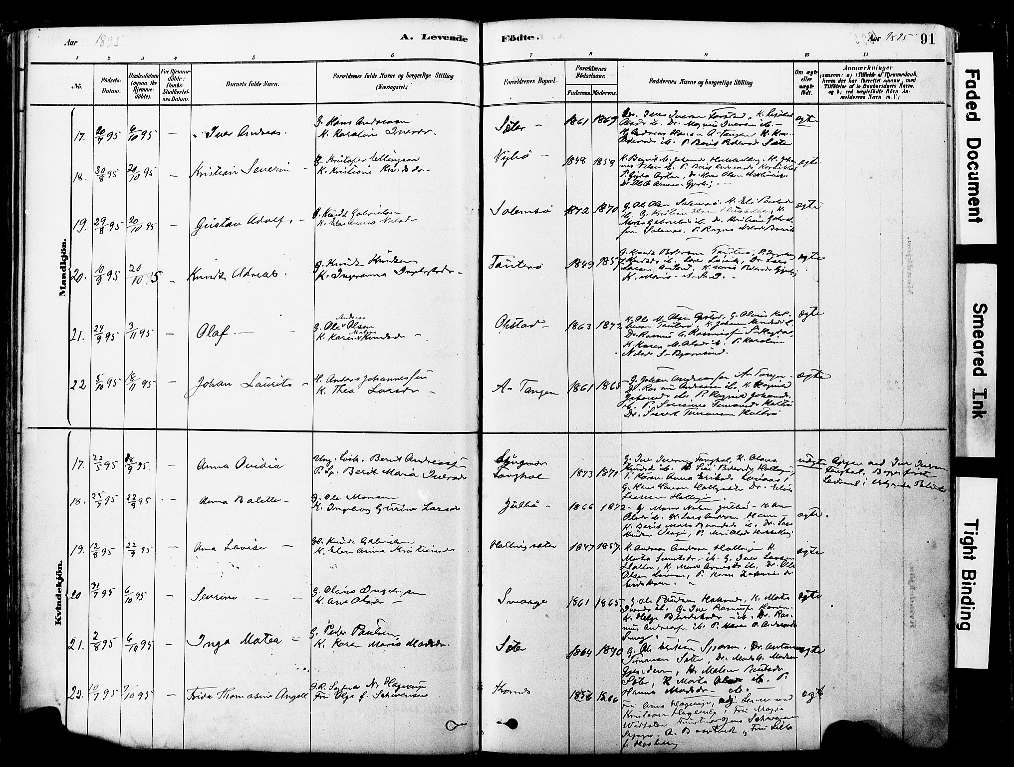 Ministerialprotokoller, klokkerbøker og fødselsregistre - Møre og Romsdal, AV/SAT-A-1454/560/L0721: Parish register (official) no. 560A05, 1878-1917, p. 91