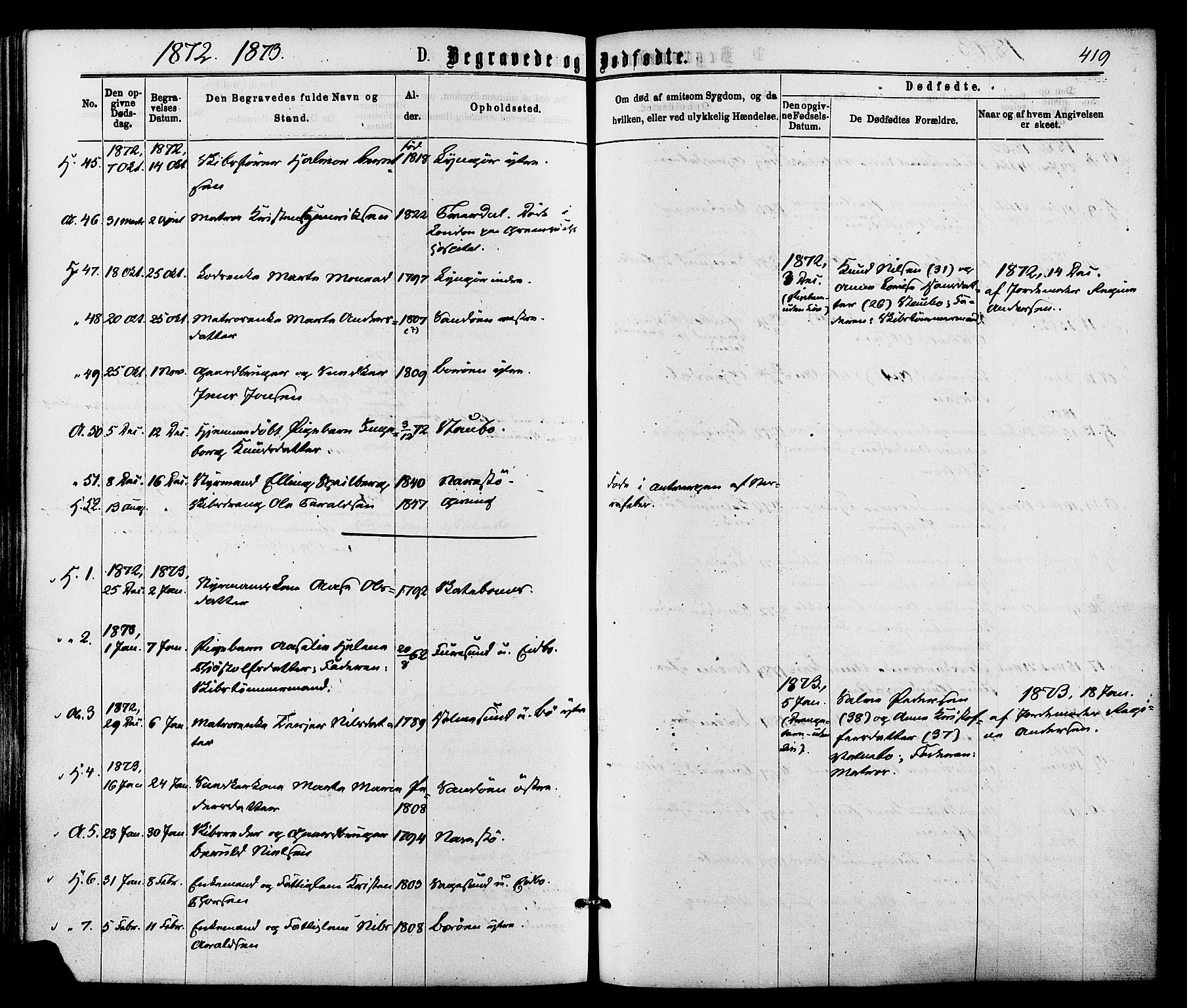 Dypvåg sokneprestkontor, SAK/1111-0007/F/Fa/Faa/L0007: Parish register (official) no. A 7/ 1, 1872-1884, p. 419