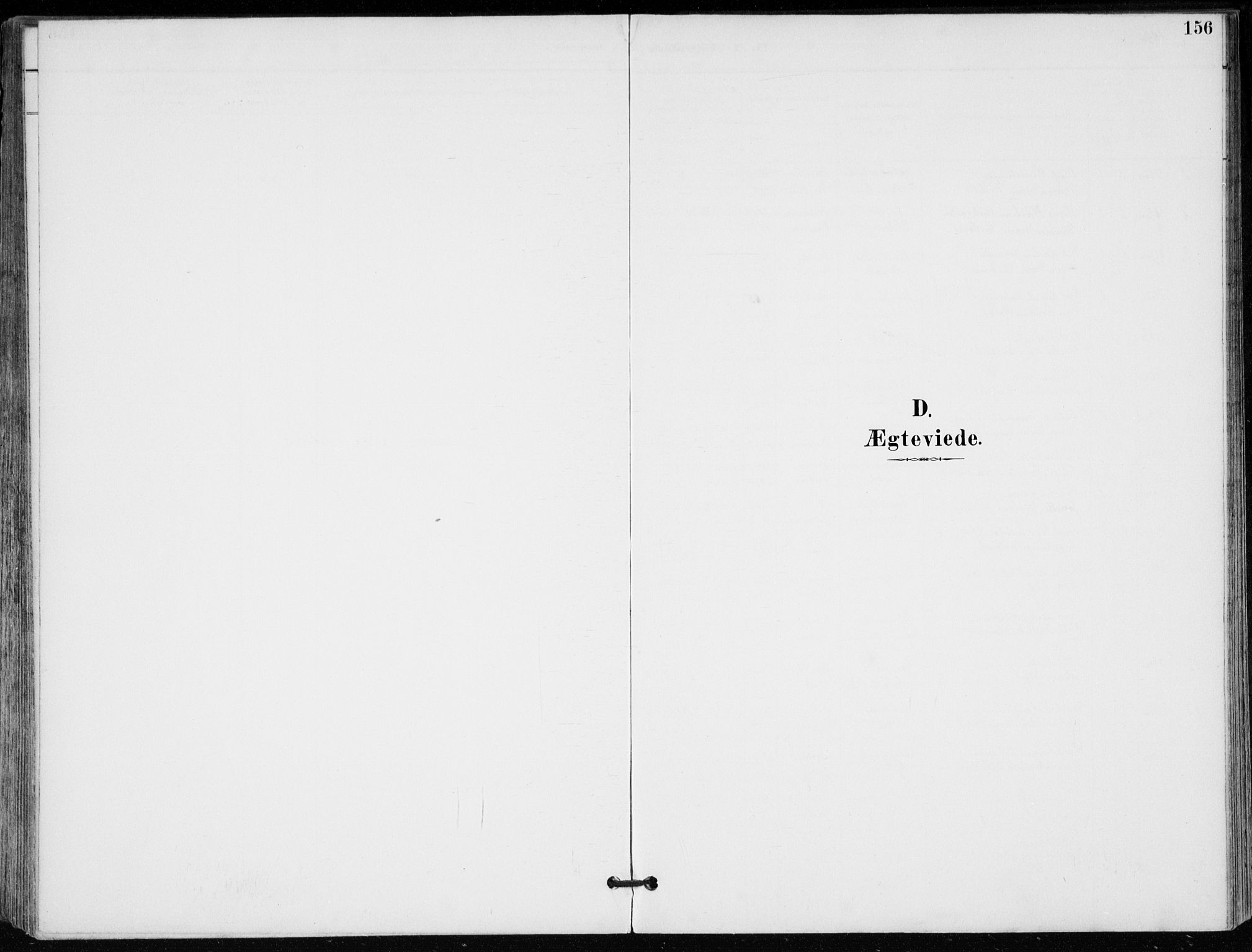 Modum kirkebøker, AV/SAKO-A-234/F/Fa/L0012: Parish register (official) no. 12, 1890-1898, p. 156