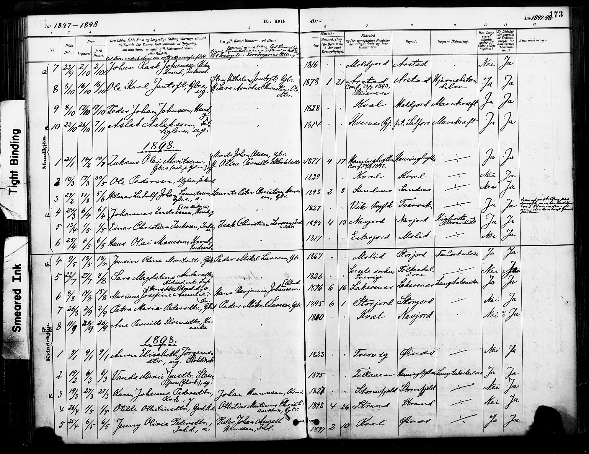 Ministerialprotokoller, klokkerbøker og fødselsregistre - Nordland, AV/SAT-A-1459/846/L0646: Parish register (official) no. 846A04, 1887-1901, p. 173