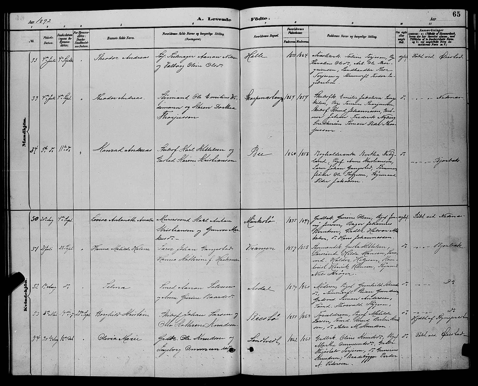 Øyestad sokneprestkontor, AV/SAK-1111-0049/F/Fb/L0009: Parish register (copy) no. B 9, 1886-1896, p. 65