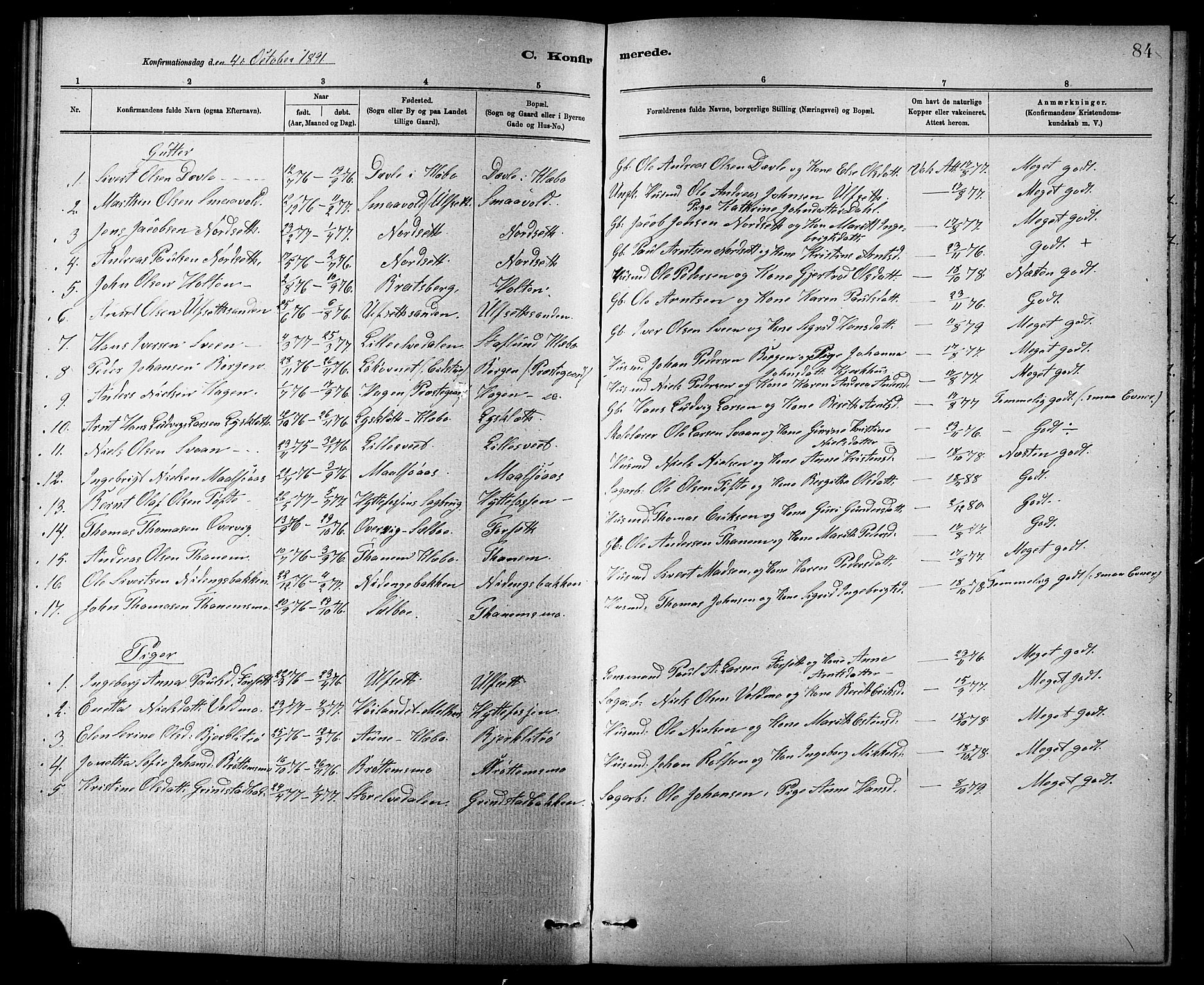 Ministerialprotokoller, klokkerbøker og fødselsregistre - Sør-Trøndelag, SAT/A-1456/618/L0452: Parish register (copy) no. 618C03, 1884-1906, p. 84