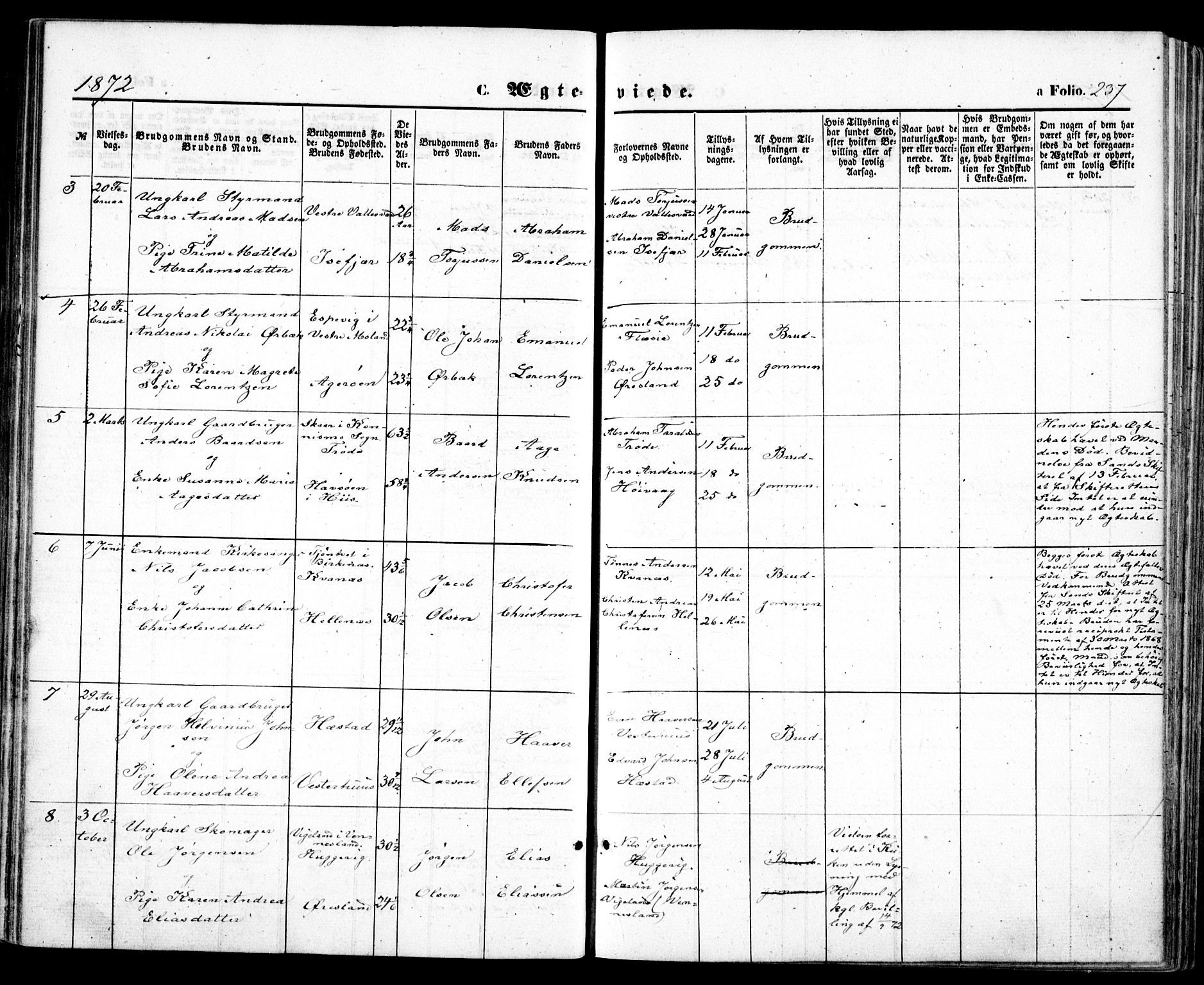 Høvåg sokneprestkontor, AV/SAK-1111-0025/F/Fa/L0004: Parish register (official) no. A 4, 1859-1877, p. 237