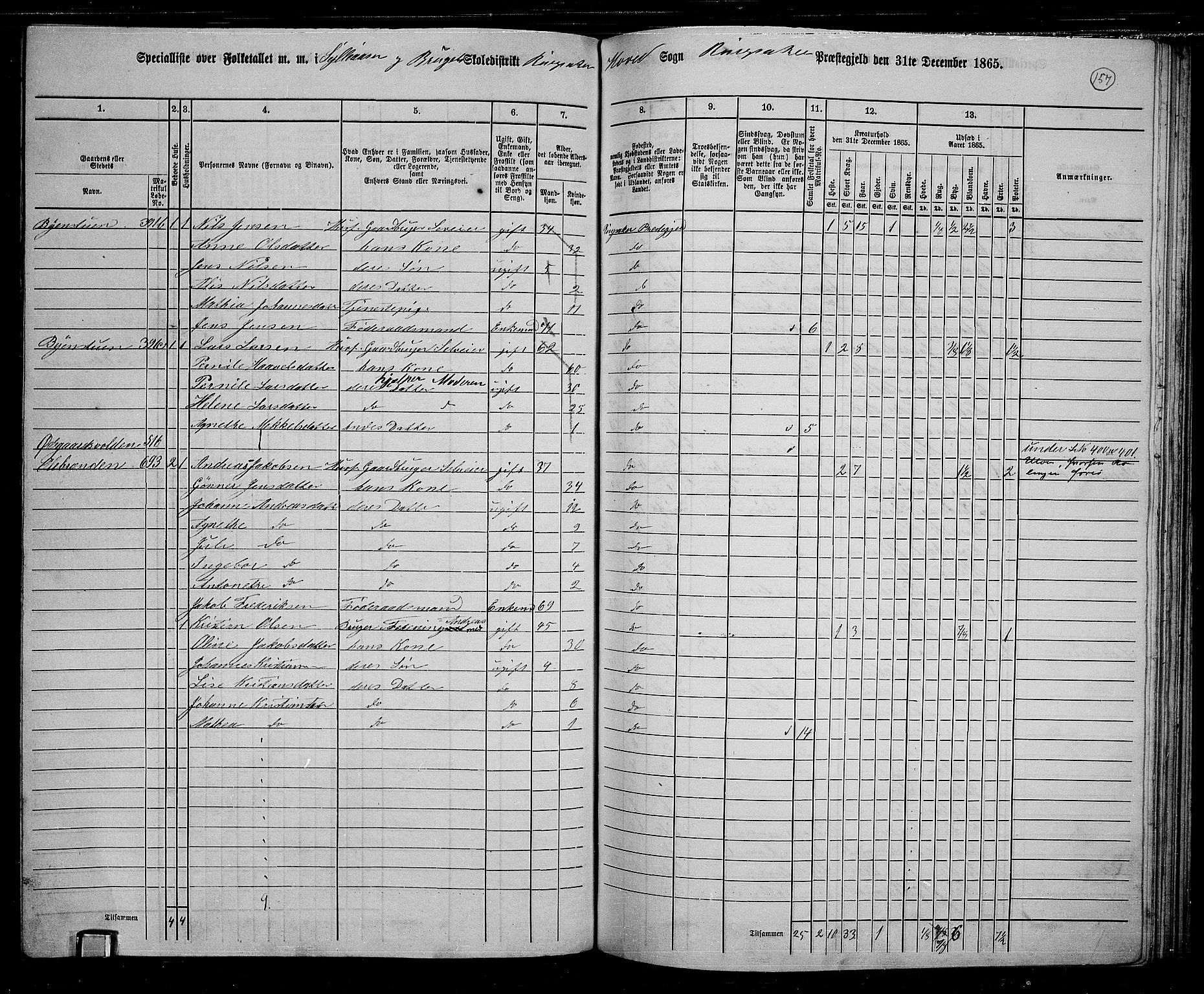 RA, 1865 census for Ringsaker, 1865, p. 401