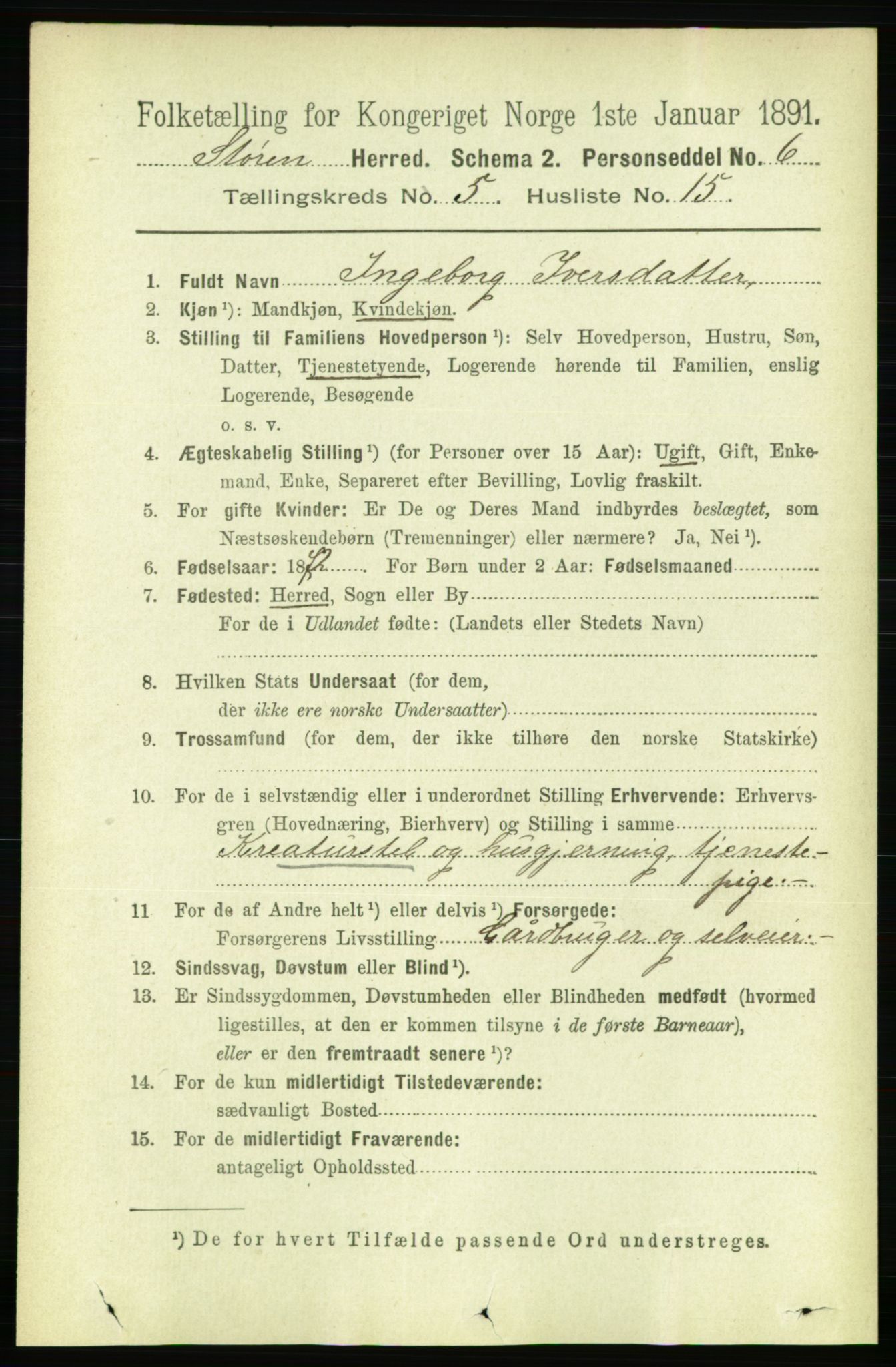 RA, 1891 census for 1648 Støren, 1891, p. 2025