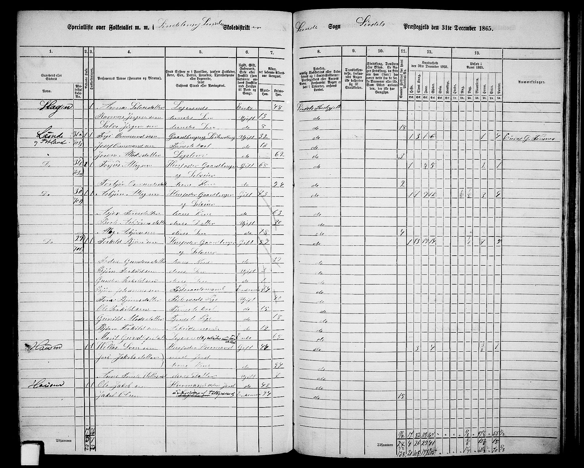 RA, 1865 census for Sirdal, 1865, p. 61