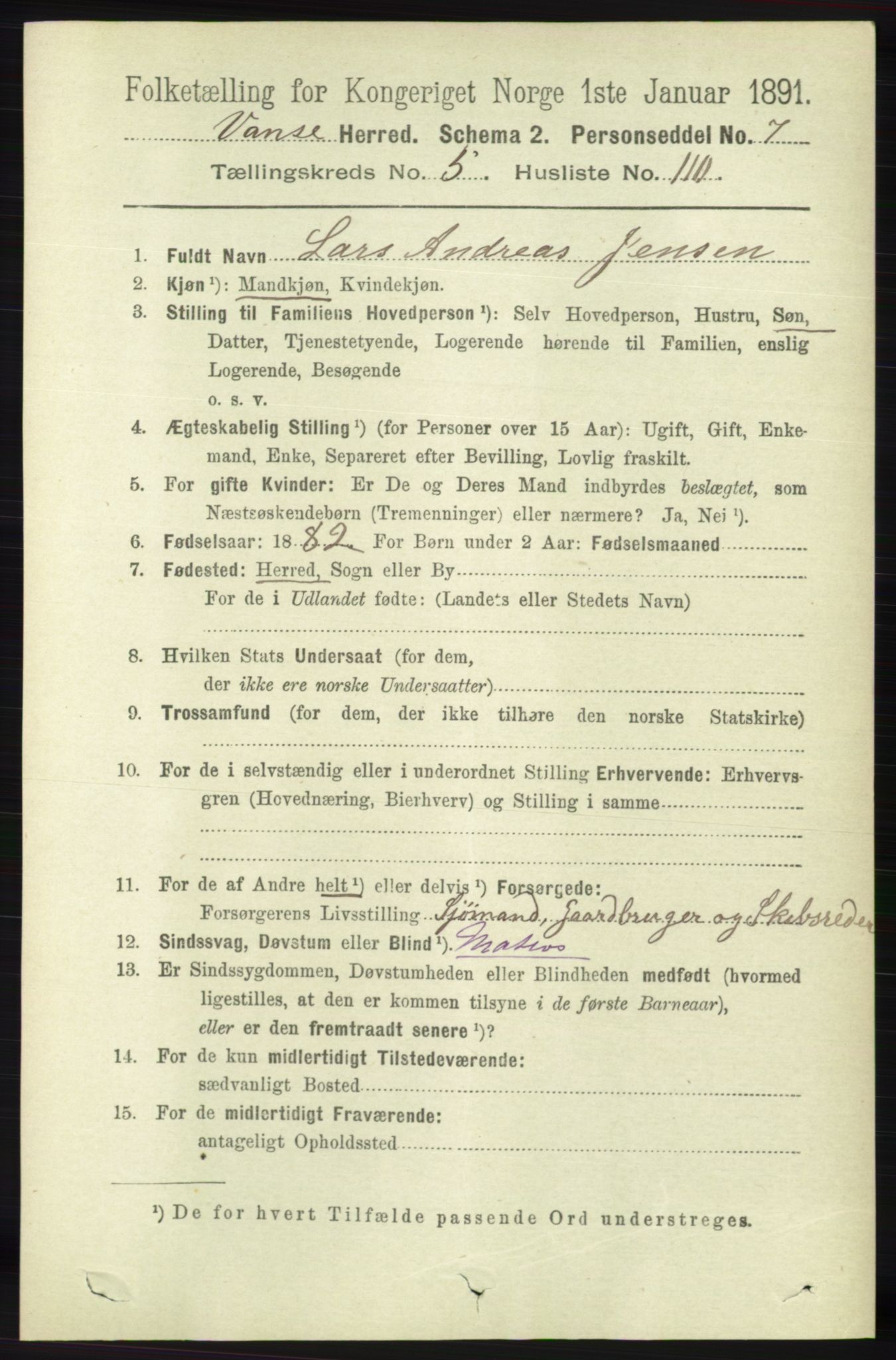 RA, 1891 census for 1041 Vanse, 1891, p. 3391