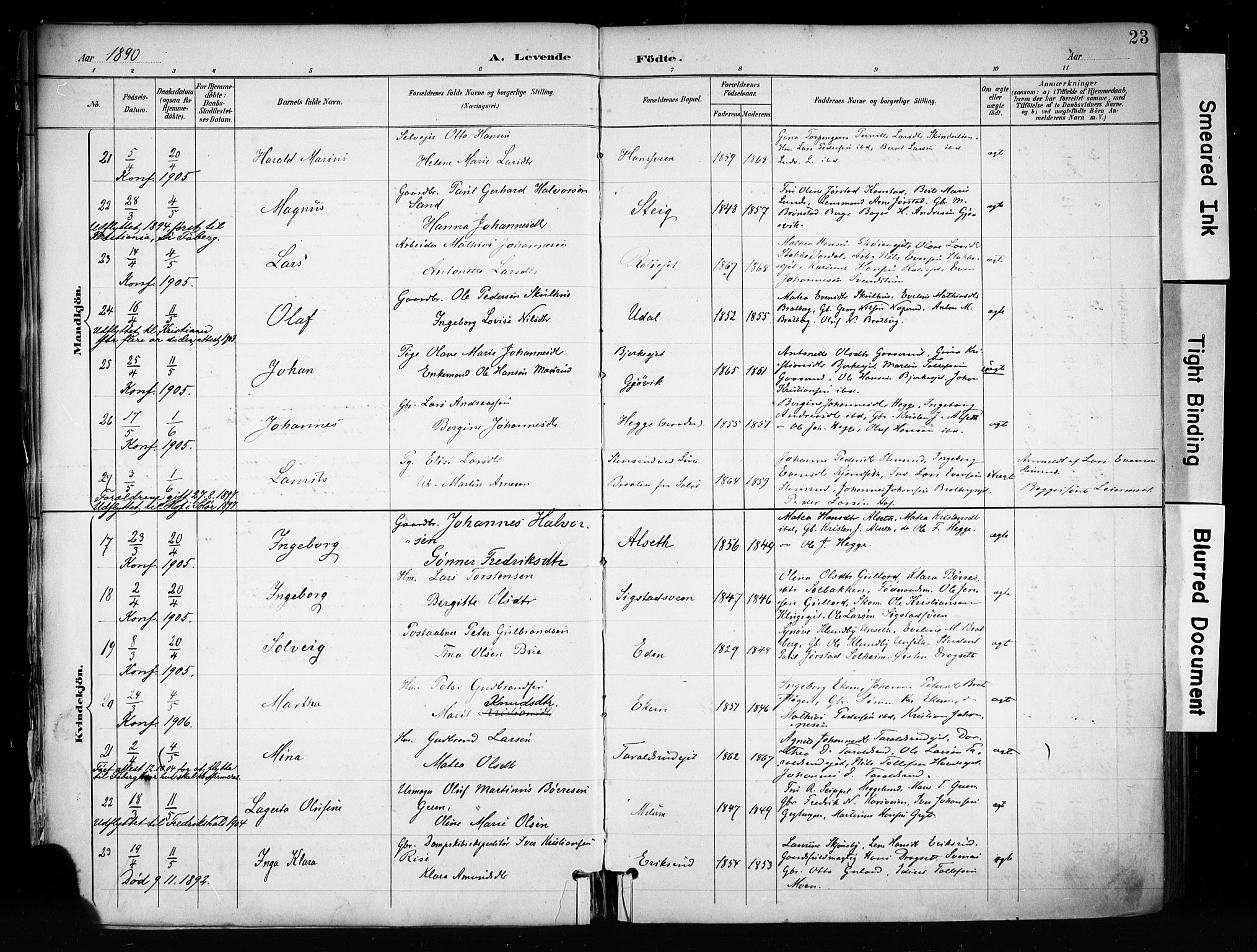 Biri prestekontor, AV/SAH-PREST-096/H/Ha/Haa/L0009: Parish register (official) no. 9, 1887-1900, p. 23