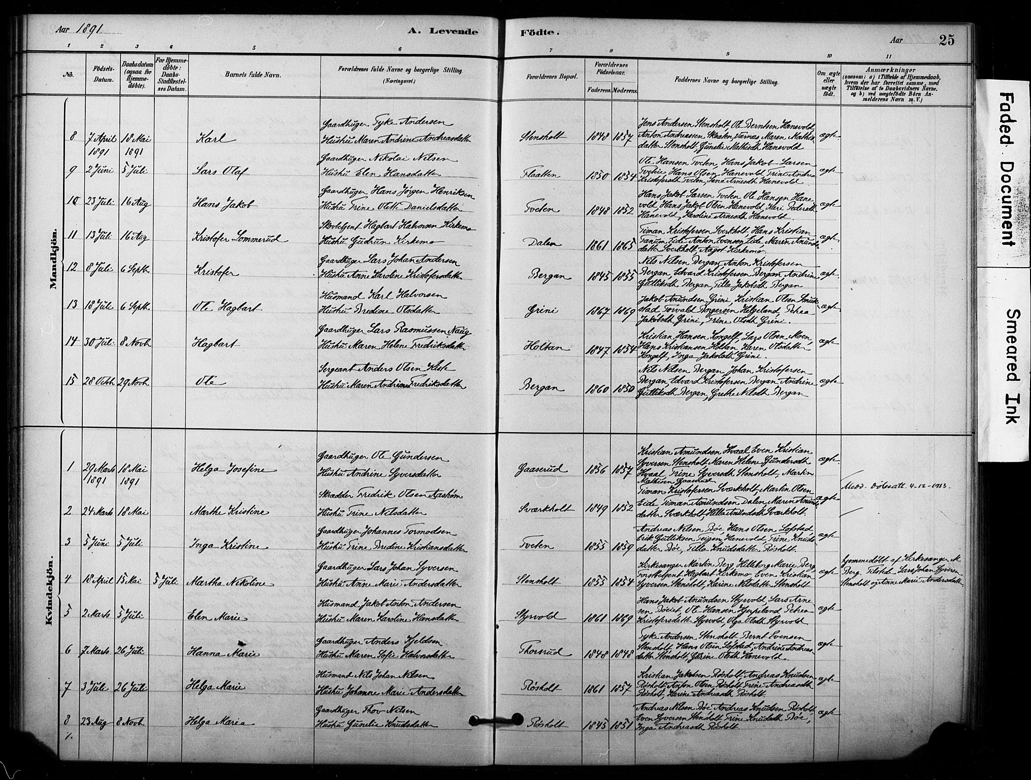 Lardal kirkebøker, SAKO/A-350/F/Fd/L0001: Parish register (official) no. IV 1, 1881-1907, p. 25