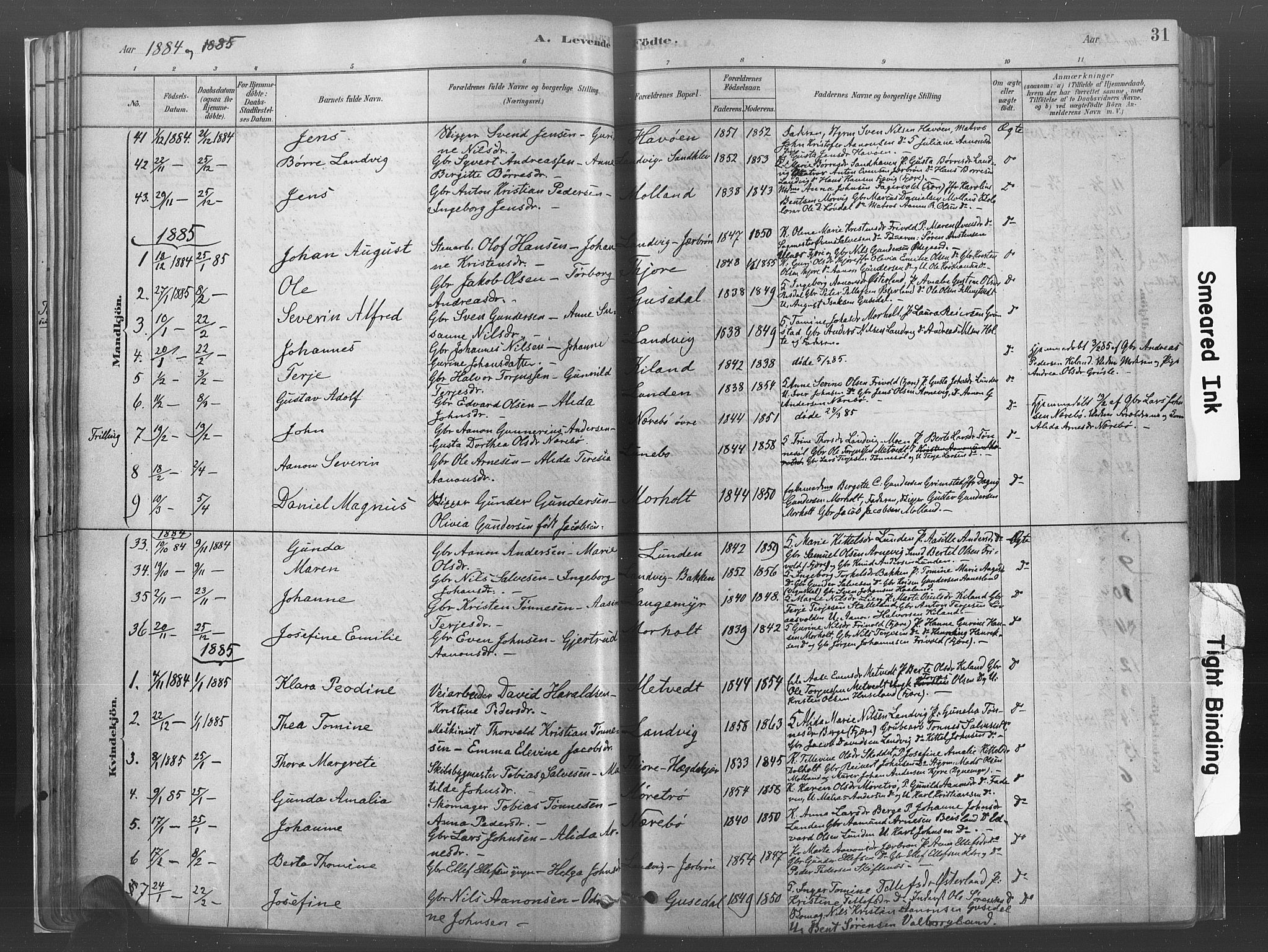 Hommedal sokneprestkontor, AV/SAK-1111-0023/F/Fa/Fab/L0006: Parish register (official) no. A 6, 1878-1897, p. 31