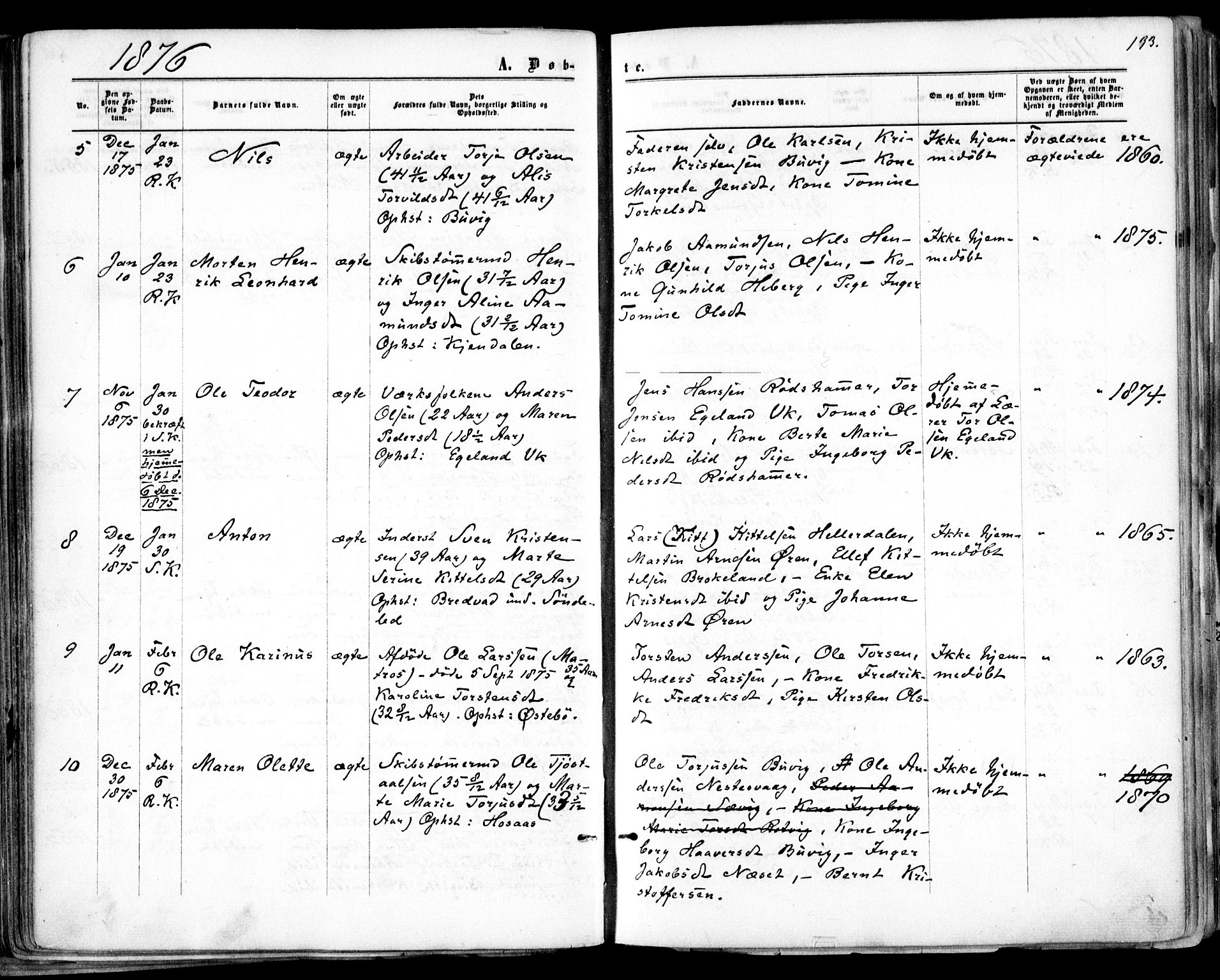 Søndeled sokneprestkontor, AV/SAK-1111-0038/F/Fa/L0003: Parish register (official) no. A 3, 1861-1879, p. 133