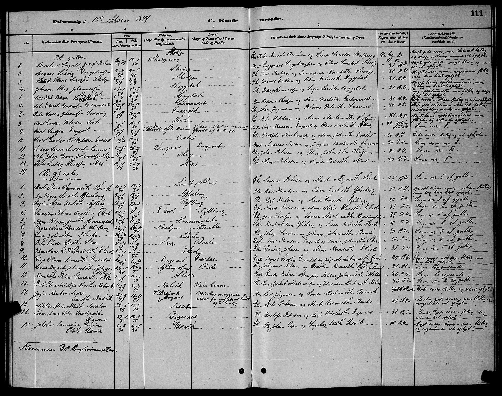 Ministerialprotokoller, klokkerbøker og fødselsregistre - Møre og Romsdal, AV/SAT-A-1454/524/L0365: Parish register (copy) no. 524C06, 1880-1899, p. 111