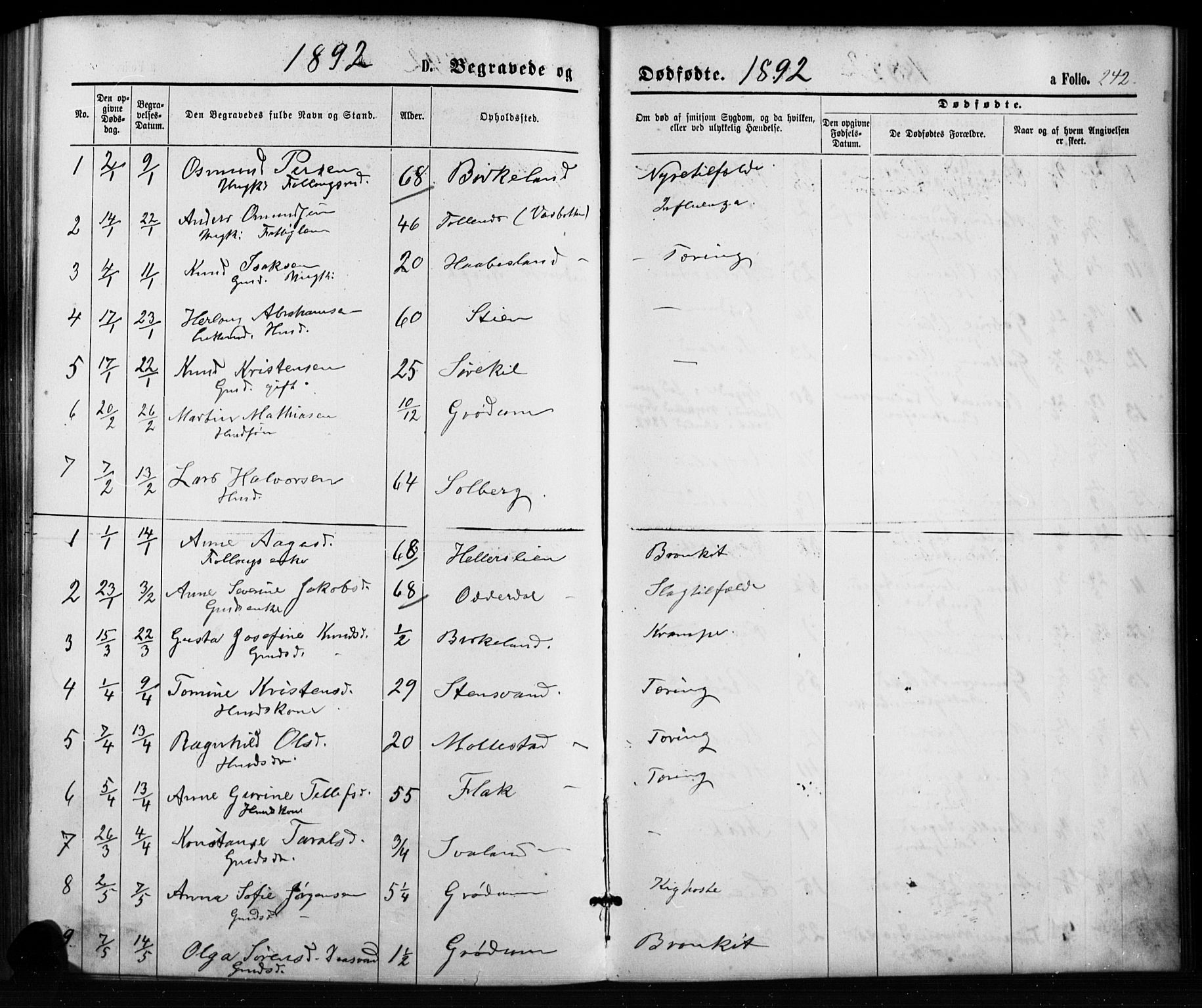 Birkenes sokneprestkontor, SAK/1111-0004/F/Fb/L0003: Parish register (copy) no. B 3, 1876-1892, p. 242