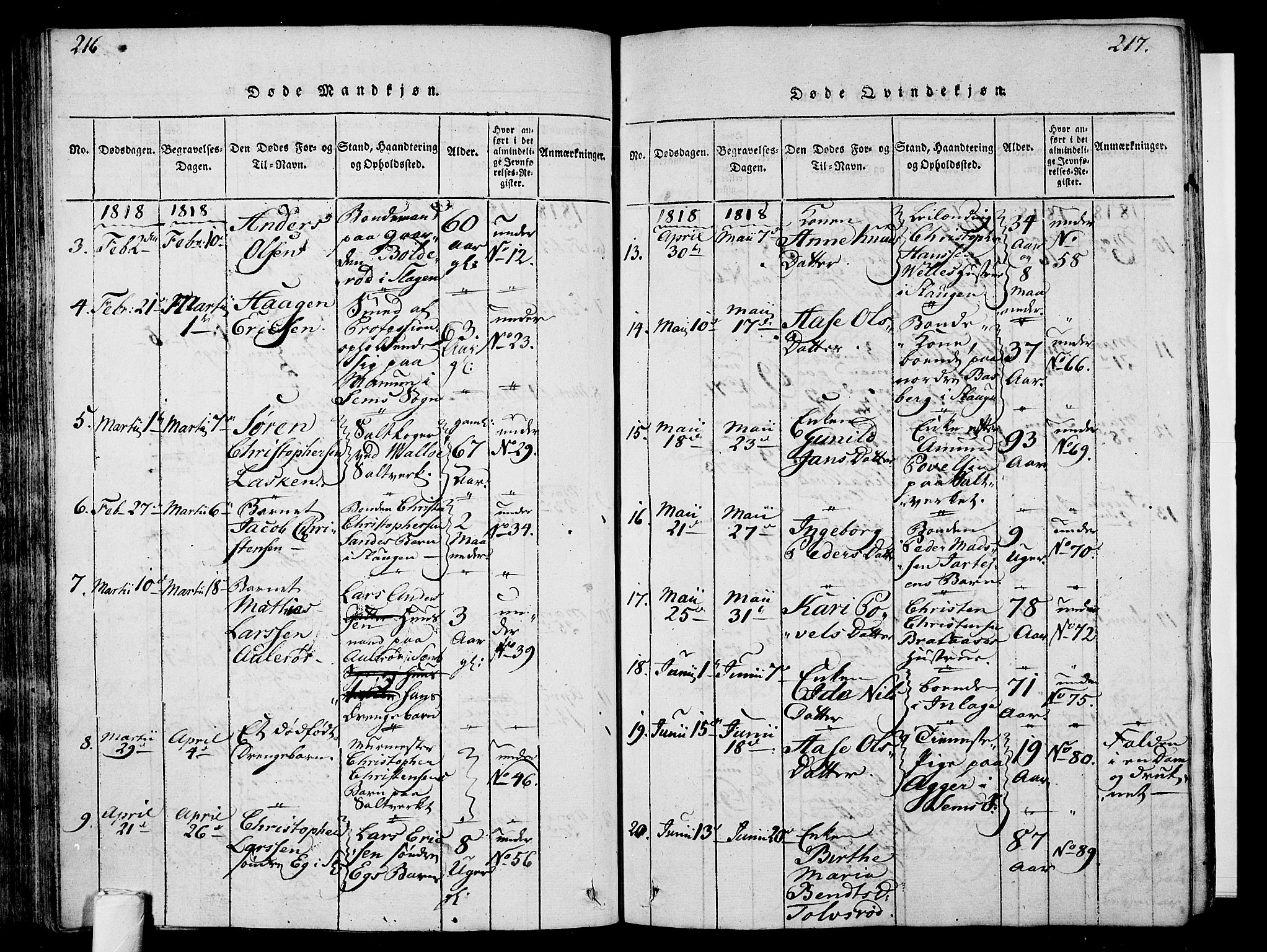 Sem kirkebøker, AV/SAKO-A-5/F/Fa/L0004: Parish register (official) no. I 4, 1814-1825, p. 216-217