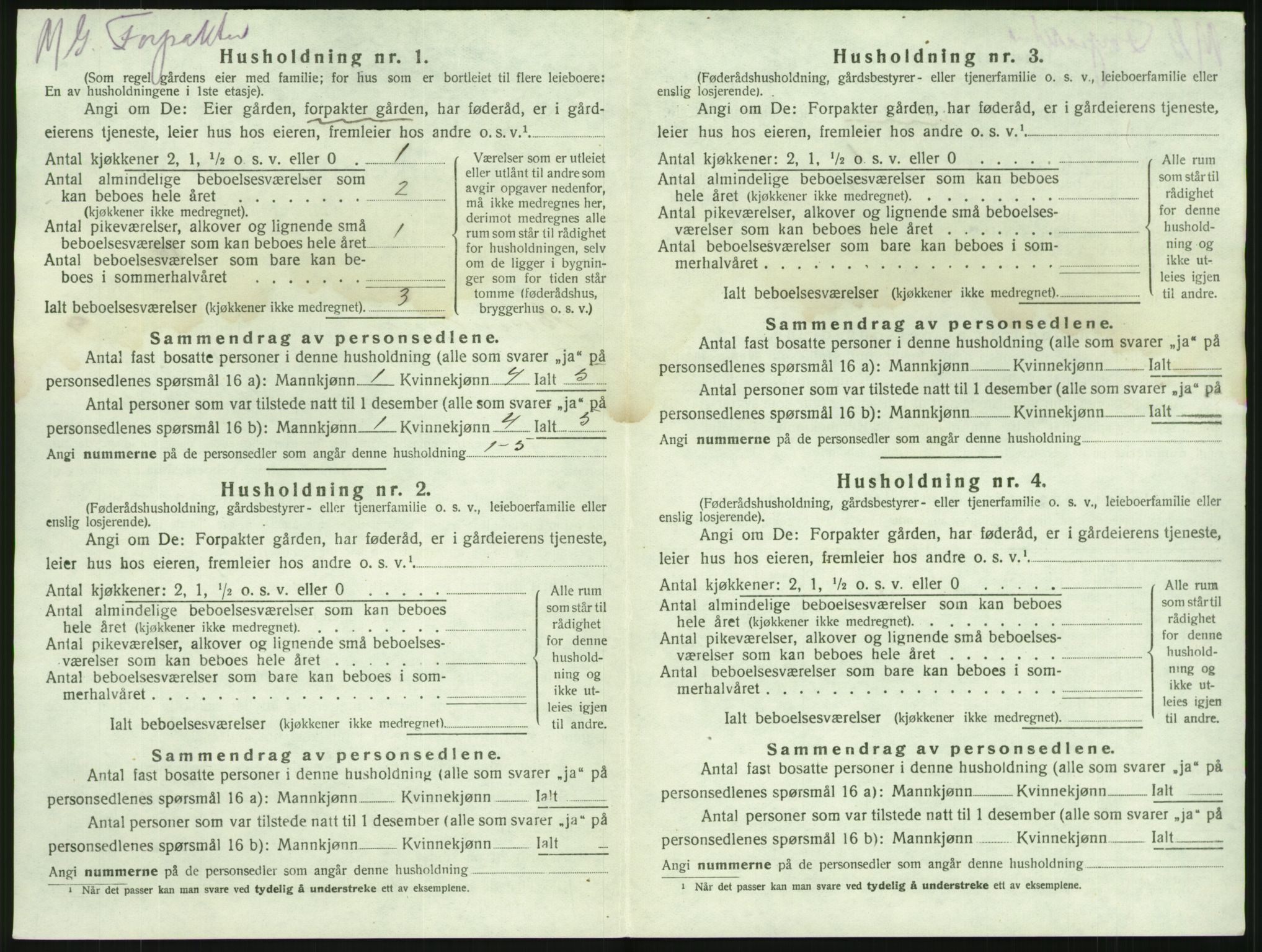 SAKO, 1920 census for Brunlanes, 1920, p. 1240