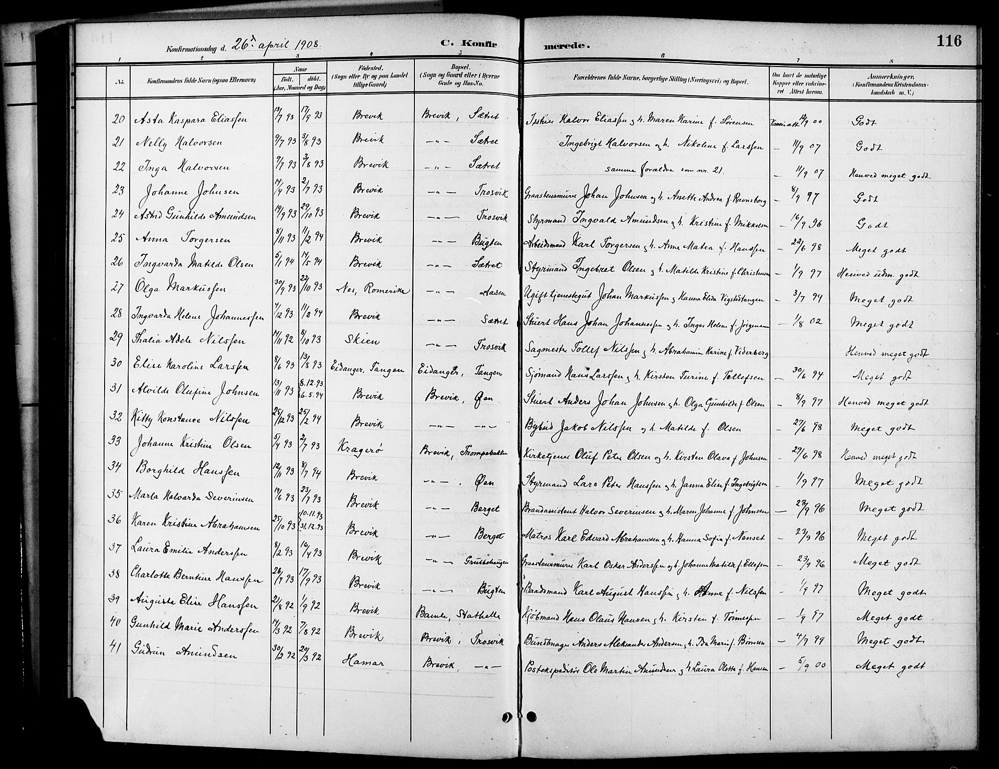 Brevik kirkebøker, SAKO/A-255/G/Ga/L0005: Parish register (copy) no. 5, 1901-1924, p. 116