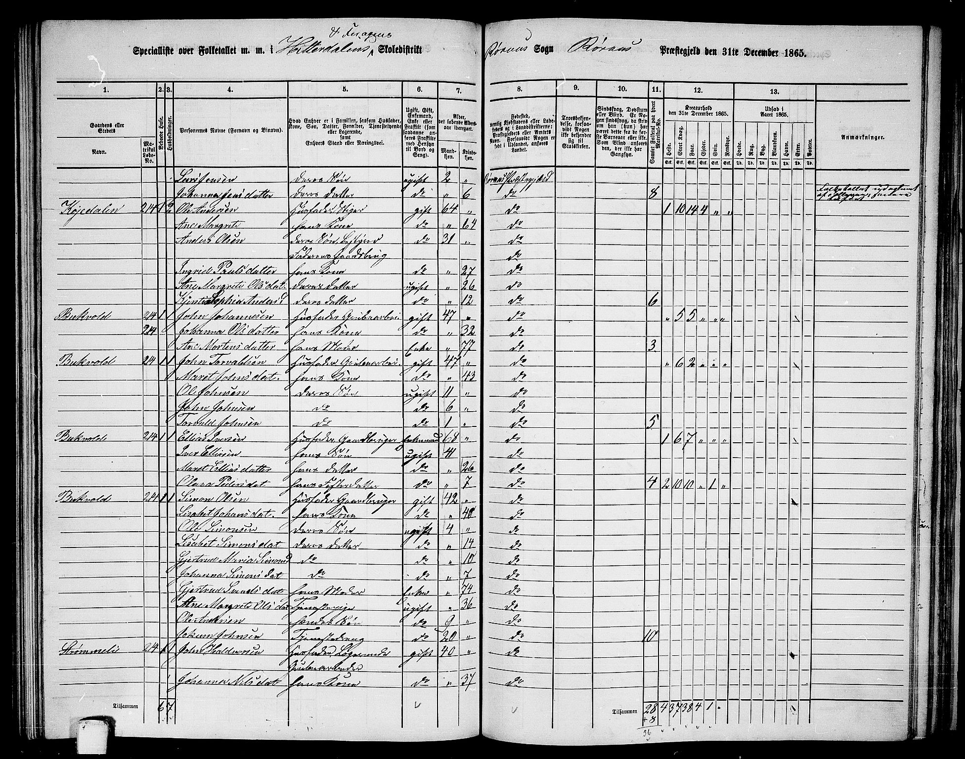 RA, 1865 census for Røros, 1865, p. 106