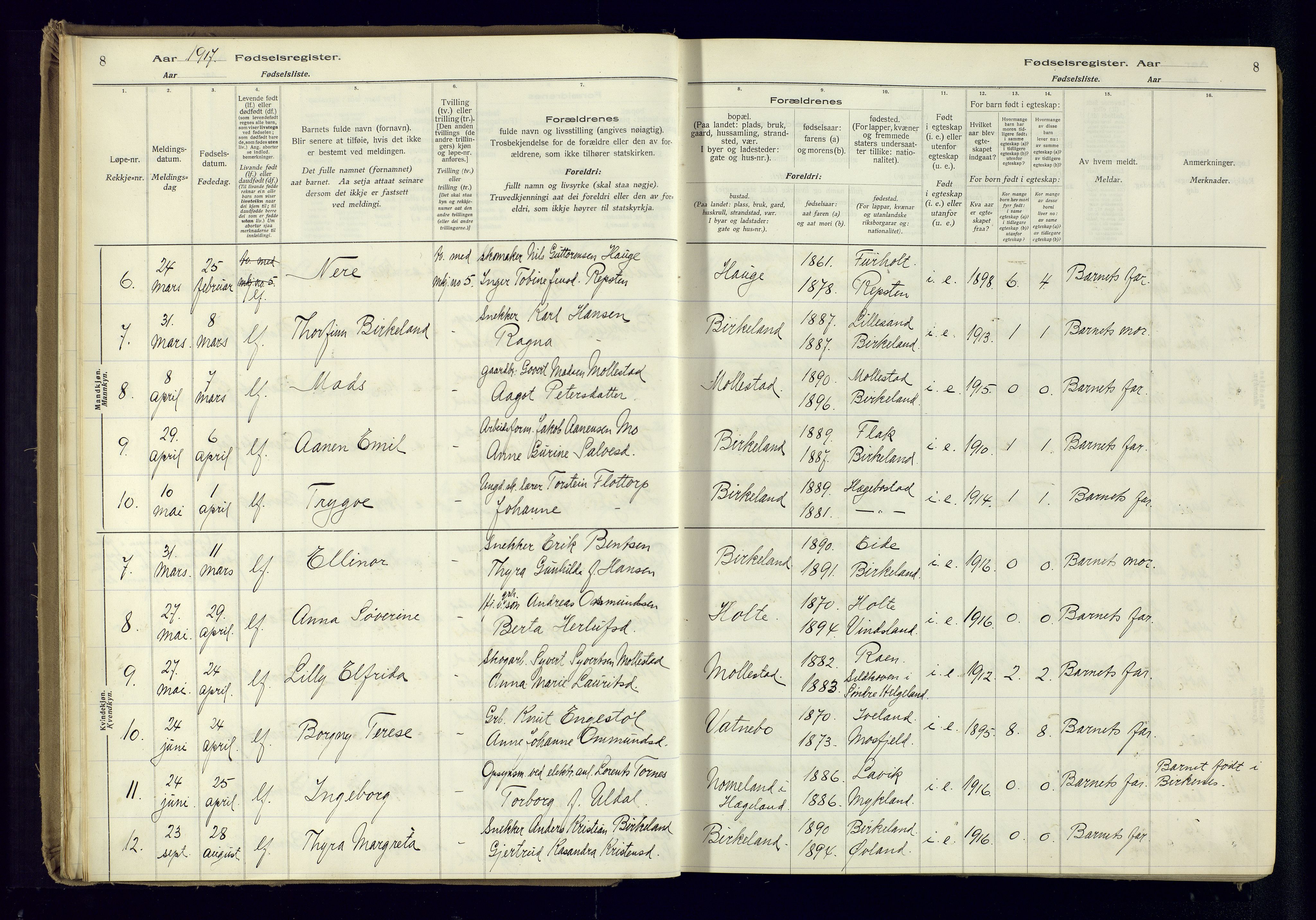 Birkenes sokneprestkontor, AV/SAK-1111-0004/J/Ja/L0001: Birth register no. II.6.4, 1916-1962, p. 8