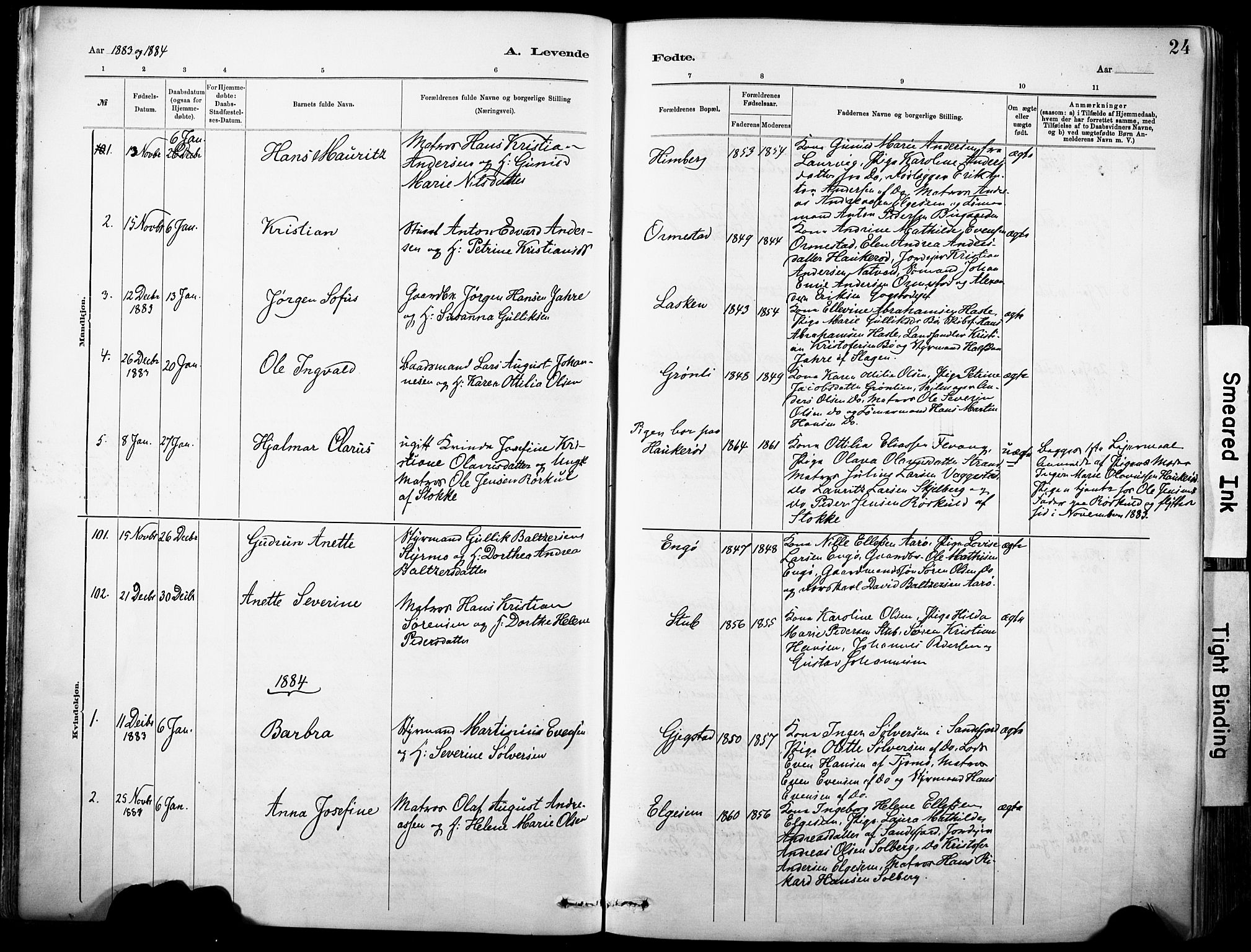 Sandar kirkebøker, SAKO/A-243/F/Fa/L0012: Parish register (official) no. 12, 1883-1895, p. 24