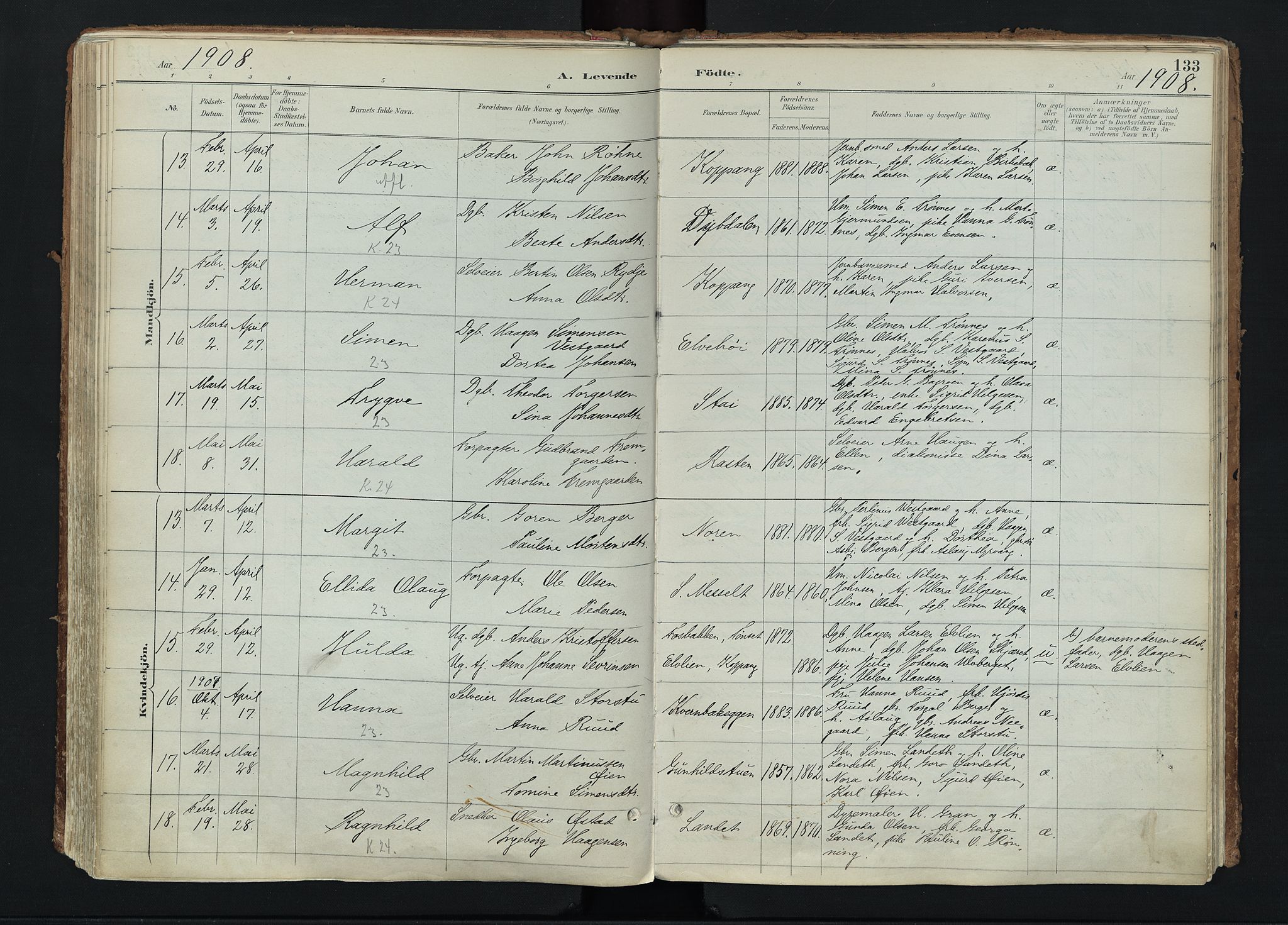 Stor-Elvdal prestekontor, AV/SAH-PREST-052/H/Ha/Haa/L0004: Parish register (official) no. 4, 1890-1922, p. 133