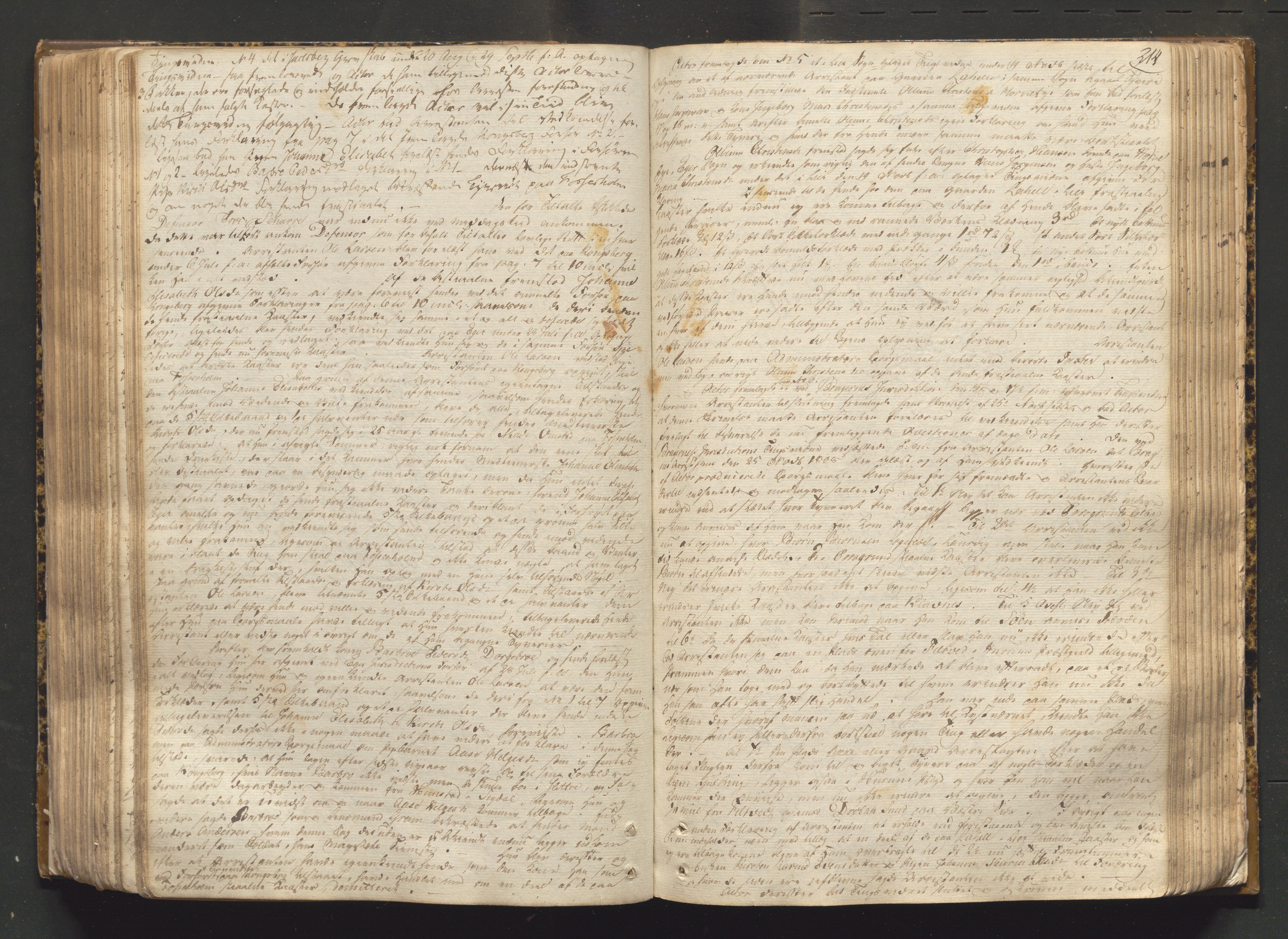 Eiker, Modum og Sigdal sorenskriveri, AV/SAKO-A-123/F/Fa/Fab/L0014: Tingbok, 1804-1810, p. 213b-214a