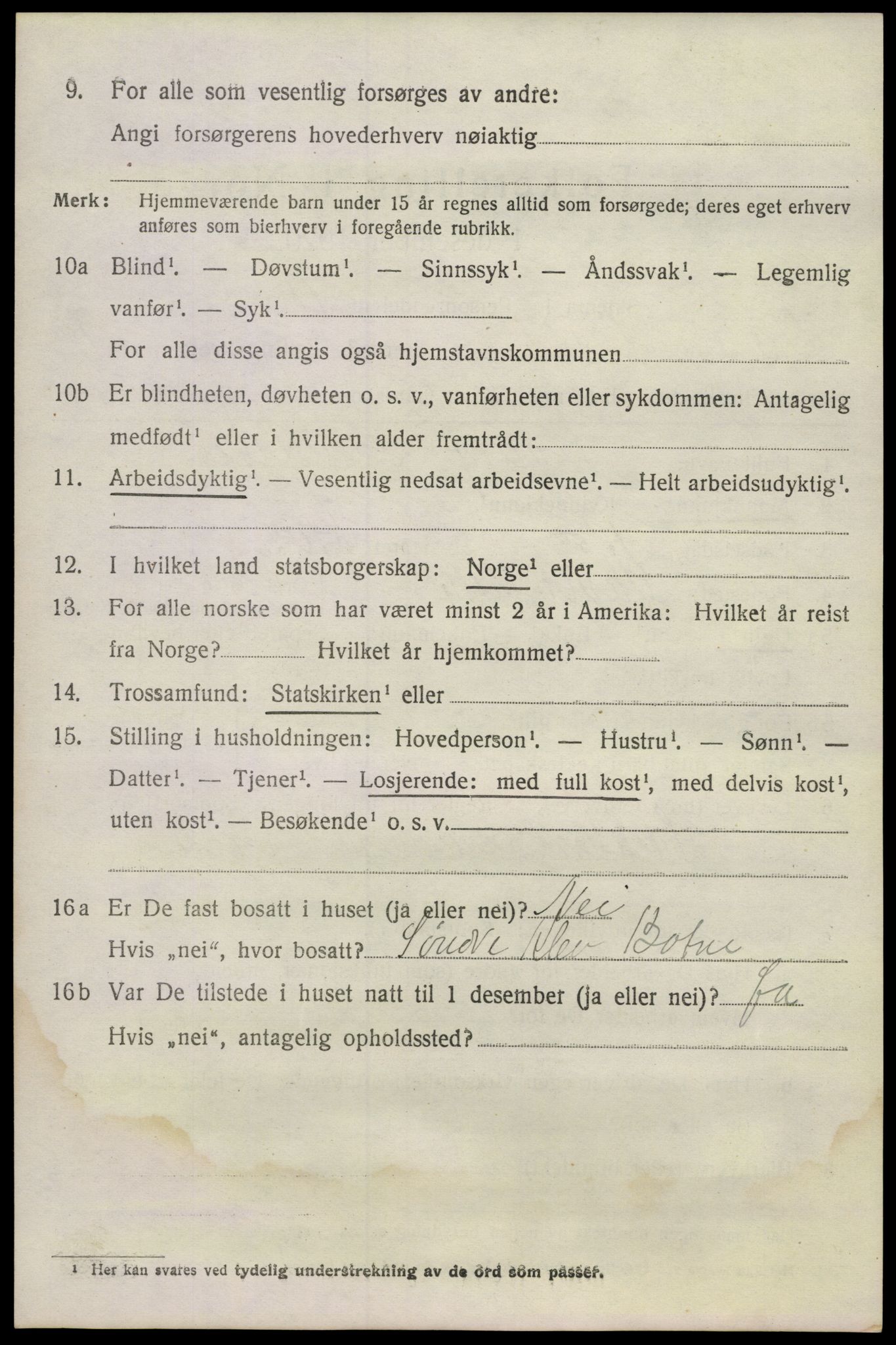 SAKO, 1920 census for Våle, 1920, p. 1255