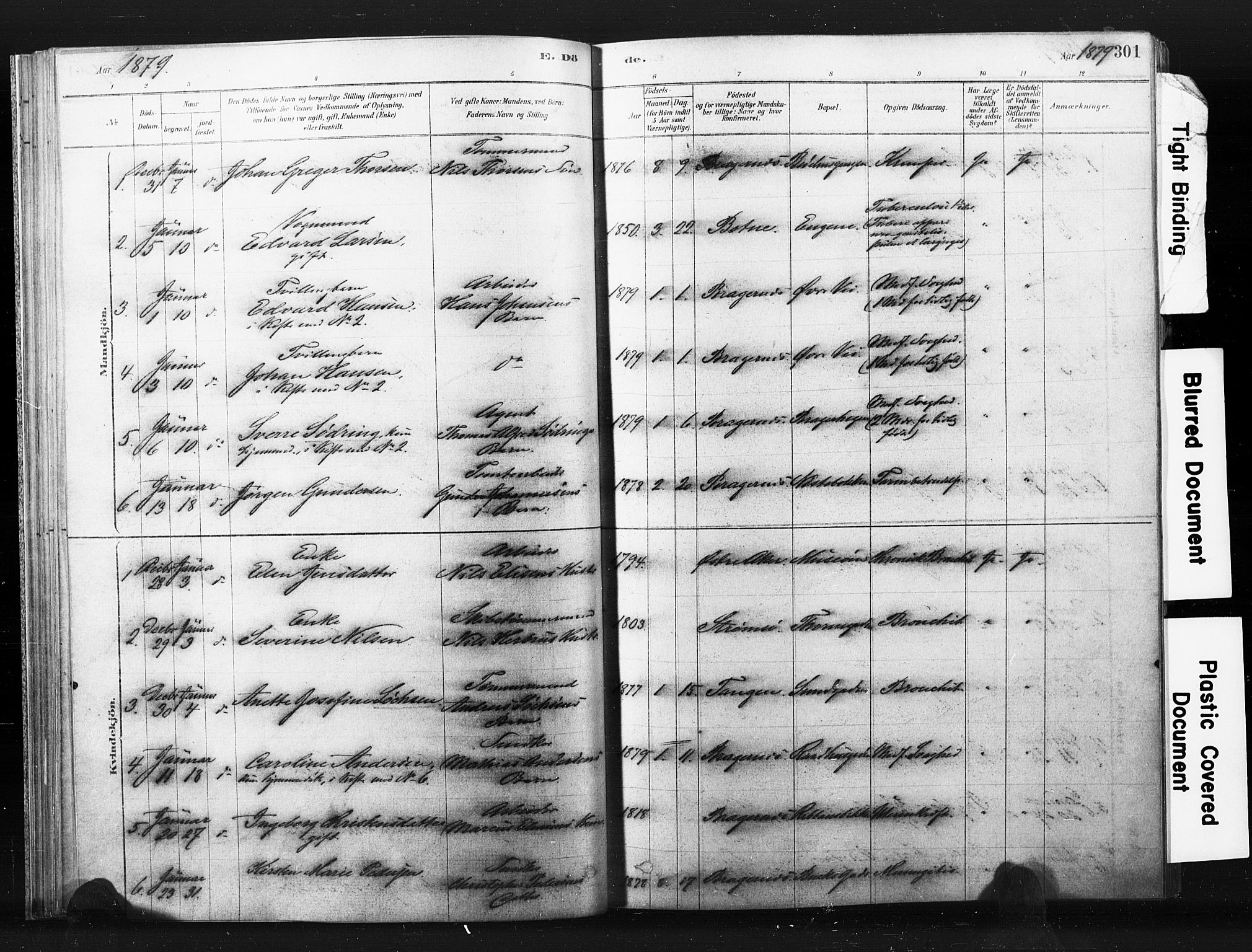 Bragernes kirkebøker, SAKO/A-6/F/Fb/L0006b: Parish register (official) no. II 6B, 1878-1885, p. 301