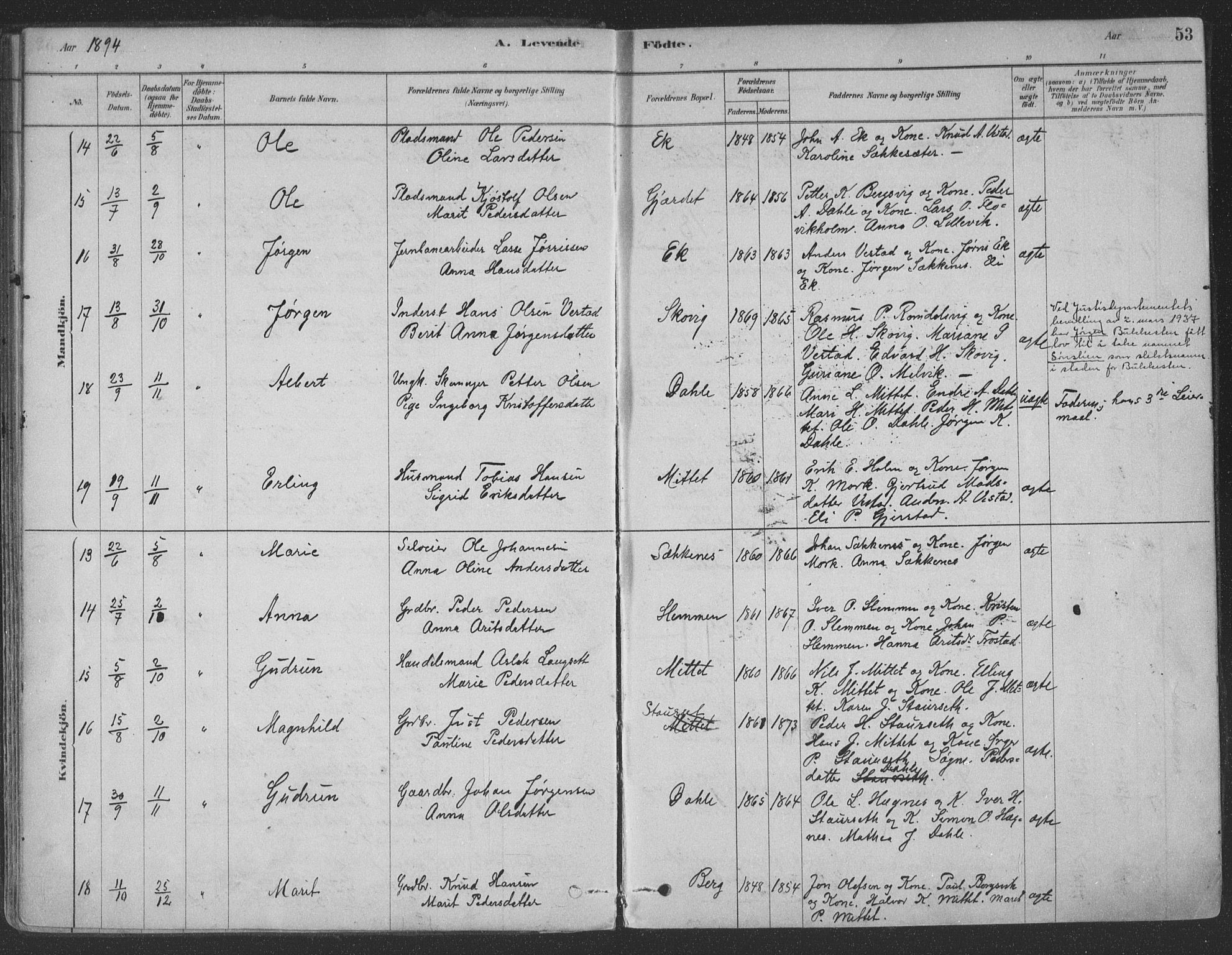 Ministerialprotokoller, klokkerbøker og fødselsregistre - Møre og Romsdal, AV/SAT-A-1454/547/L0604: Parish register (official) no. 547A06, 1878-1906, p. 53