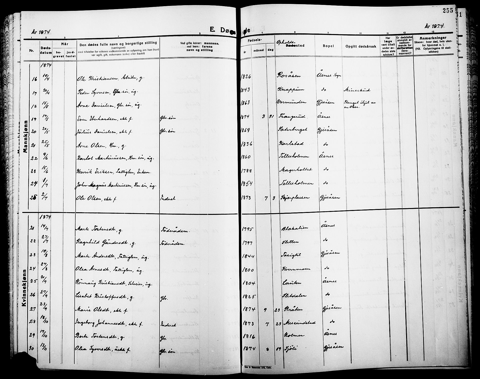 Åsnes prestekontor, AV/SAH-PREST-042/H/Ha/Haa/L0000B: Parish register (official), 1870-1889, p. 255