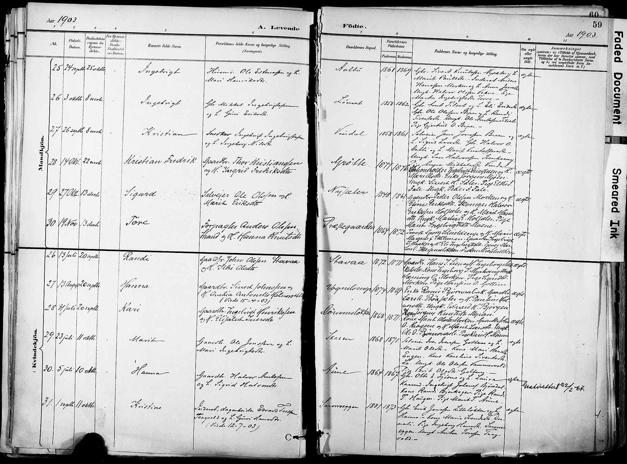 Ministerialprotokoller, klokkerbøker og fødselsregistre - Sør-Trøndelag, AV/SAT-A-1456/678/L0902: Parish register (official) no. 678A11, 1895-1911, p. 59