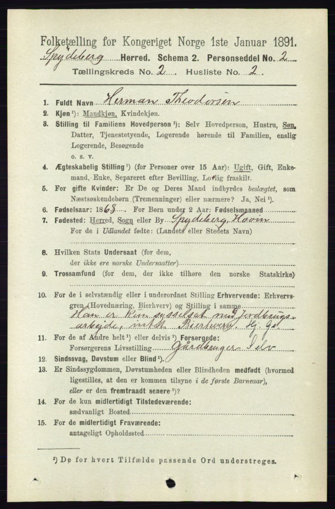 RA, 1891 census for 0123 Spydeberg, 1891, p. 705