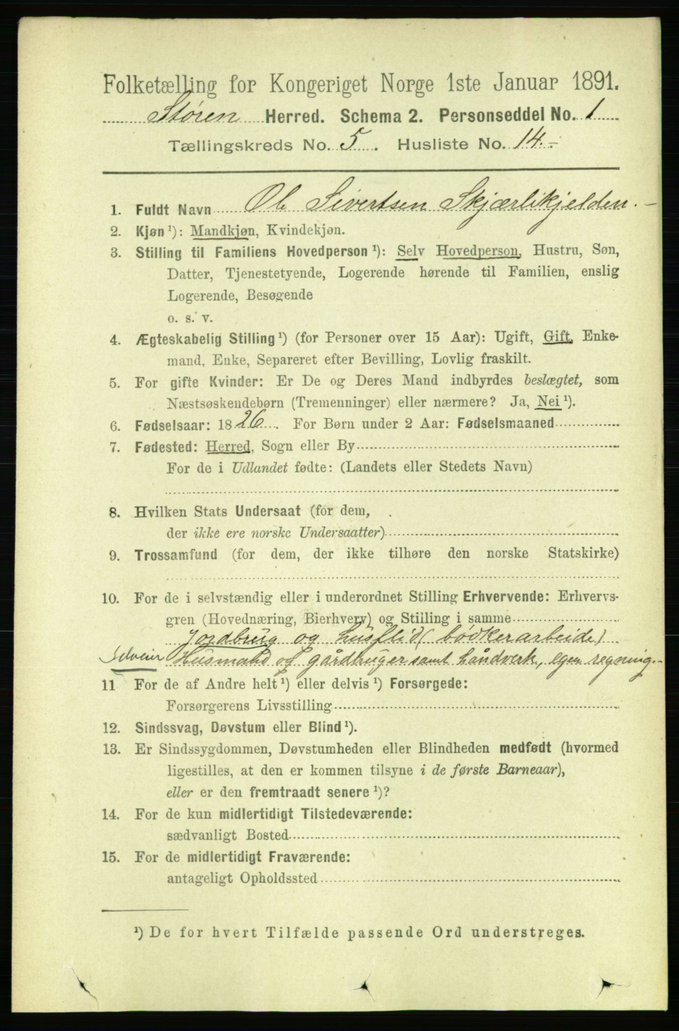 RA, 1891 census for 1648 Støren, 1891, p. 2015
