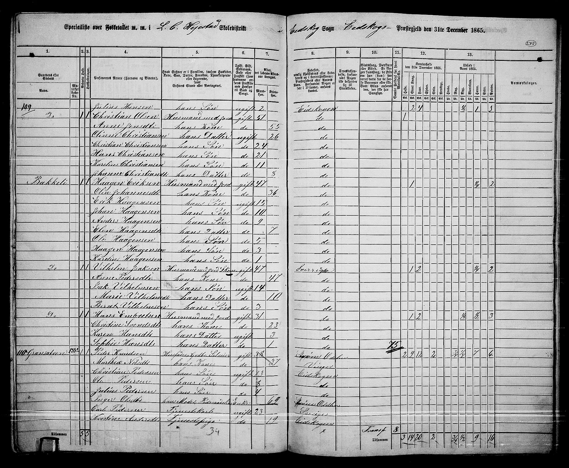 RA, 1865 census for Eidskog, 1865, p. 251