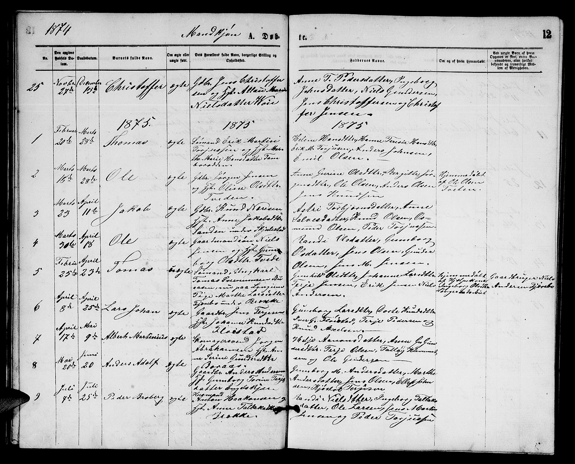 Austre Moland sokneprestkontor, AV/SAK-1111-0001/F/Fb/Fba/L0002: Parish register (copy) no. B 2, 1869-1879, p. 12