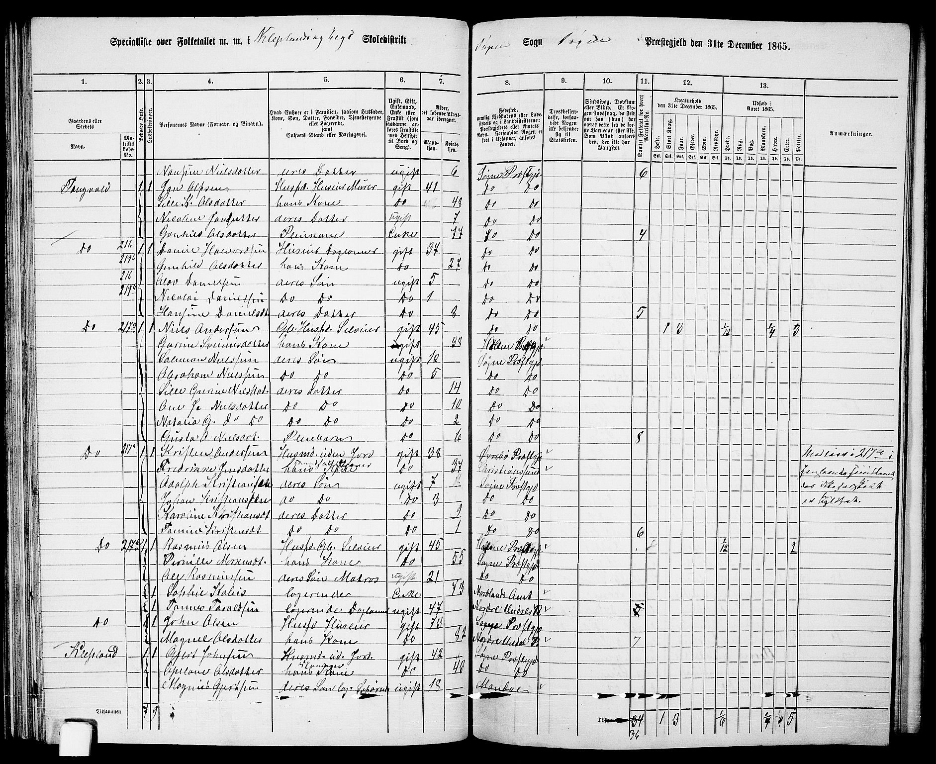 RA, 1865 census for Søgne, 1865, p. 67