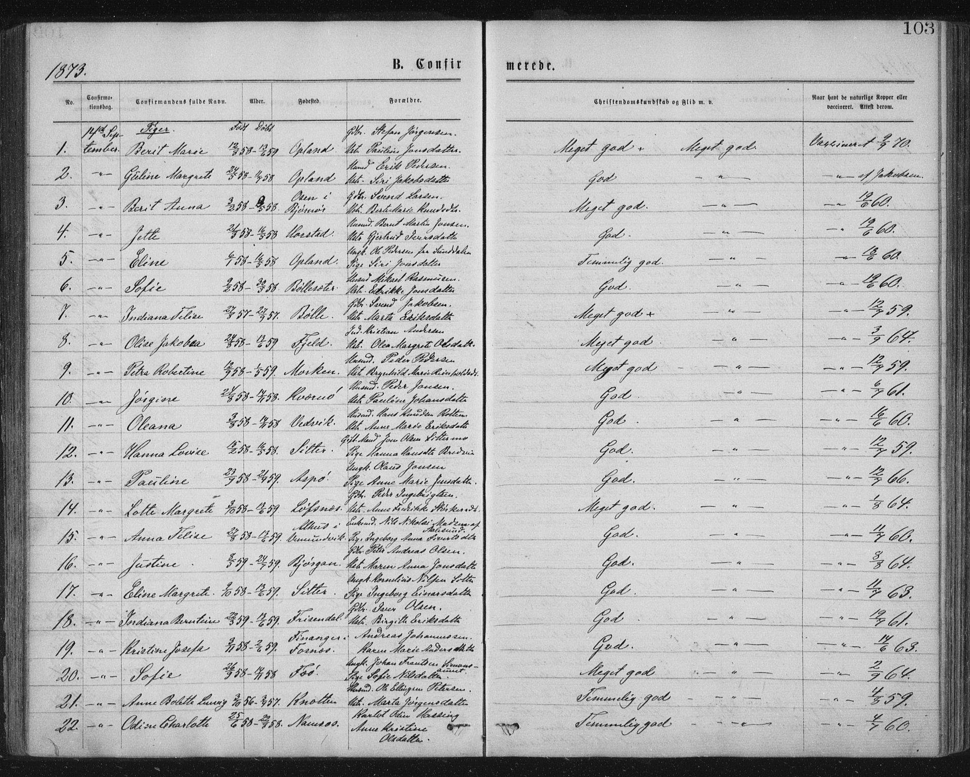 Ministerialprotokoller, klokkerbøker og fødselsregistre - Nord-Trøndelag, SAT/A-1458/771/L0596: Parish register (official) no. 771A03, 1870-1884, p. 103