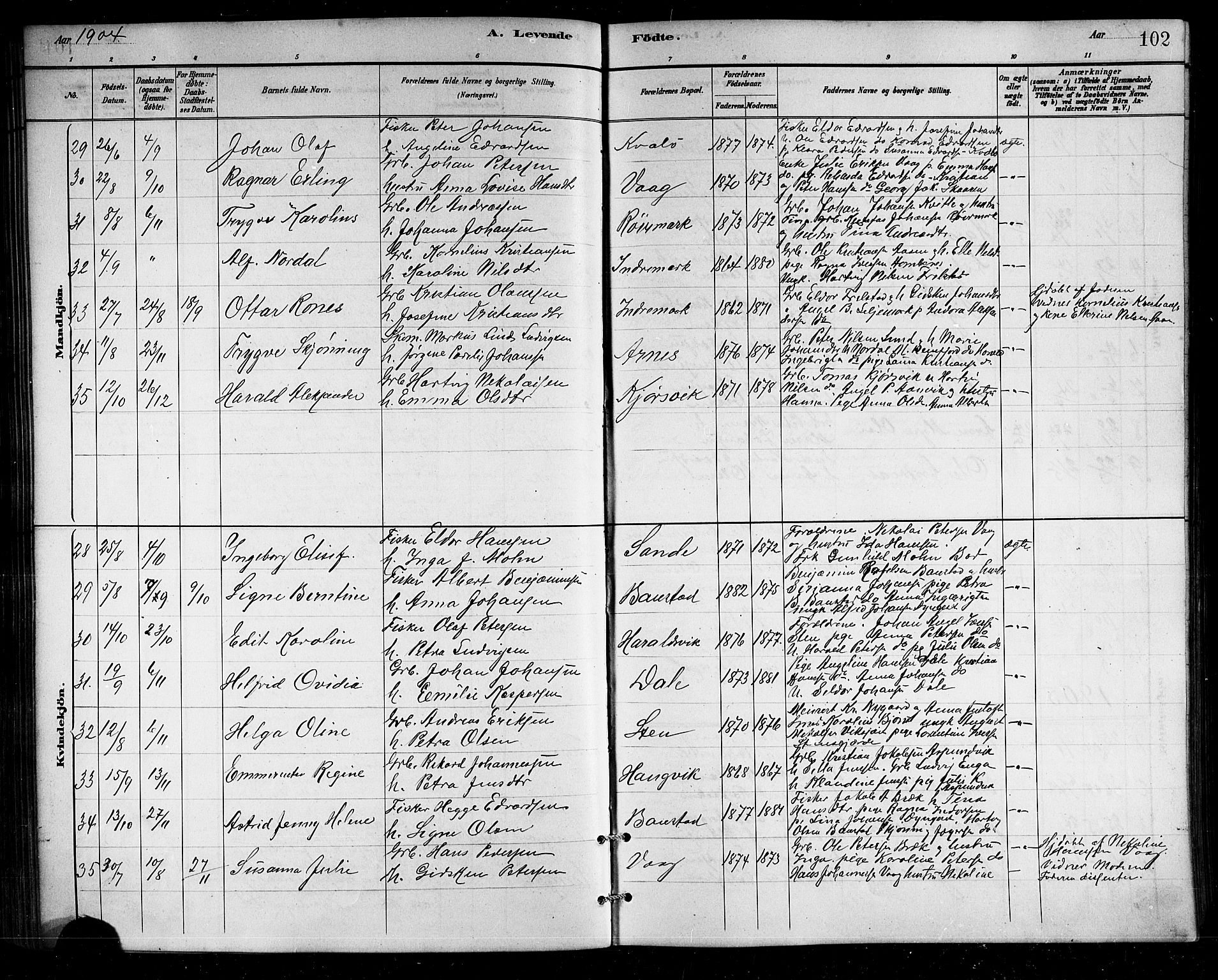 Ministerialprotokoller, klokkerbøker og fødselsregistre - Nordland, SAT/A-1459/812/L0188: Parish register (copy) no. 812C06, 1884-1912, p. 102