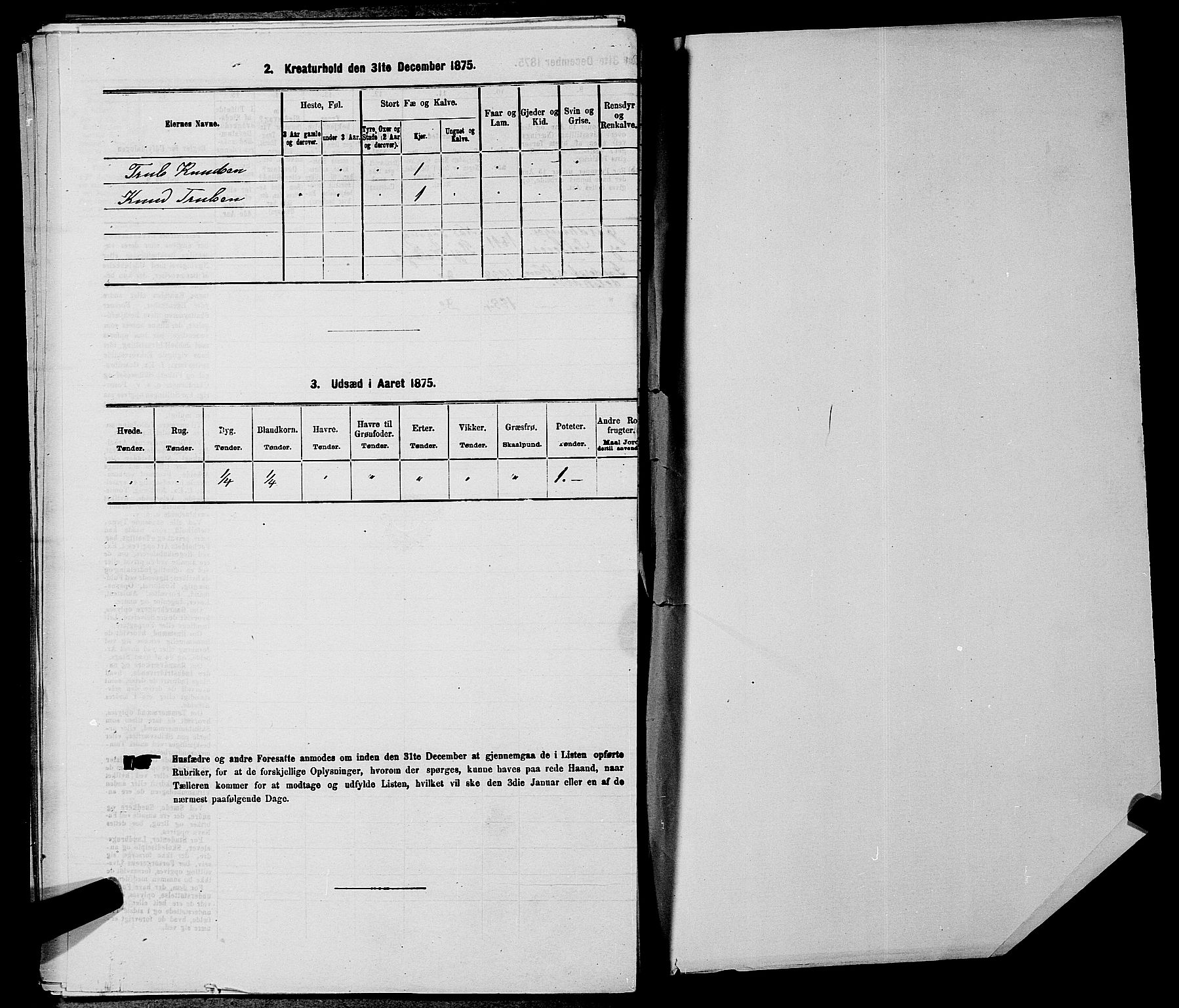 SAKO, 1875 census for 0616P Nes, 1875, p. 970